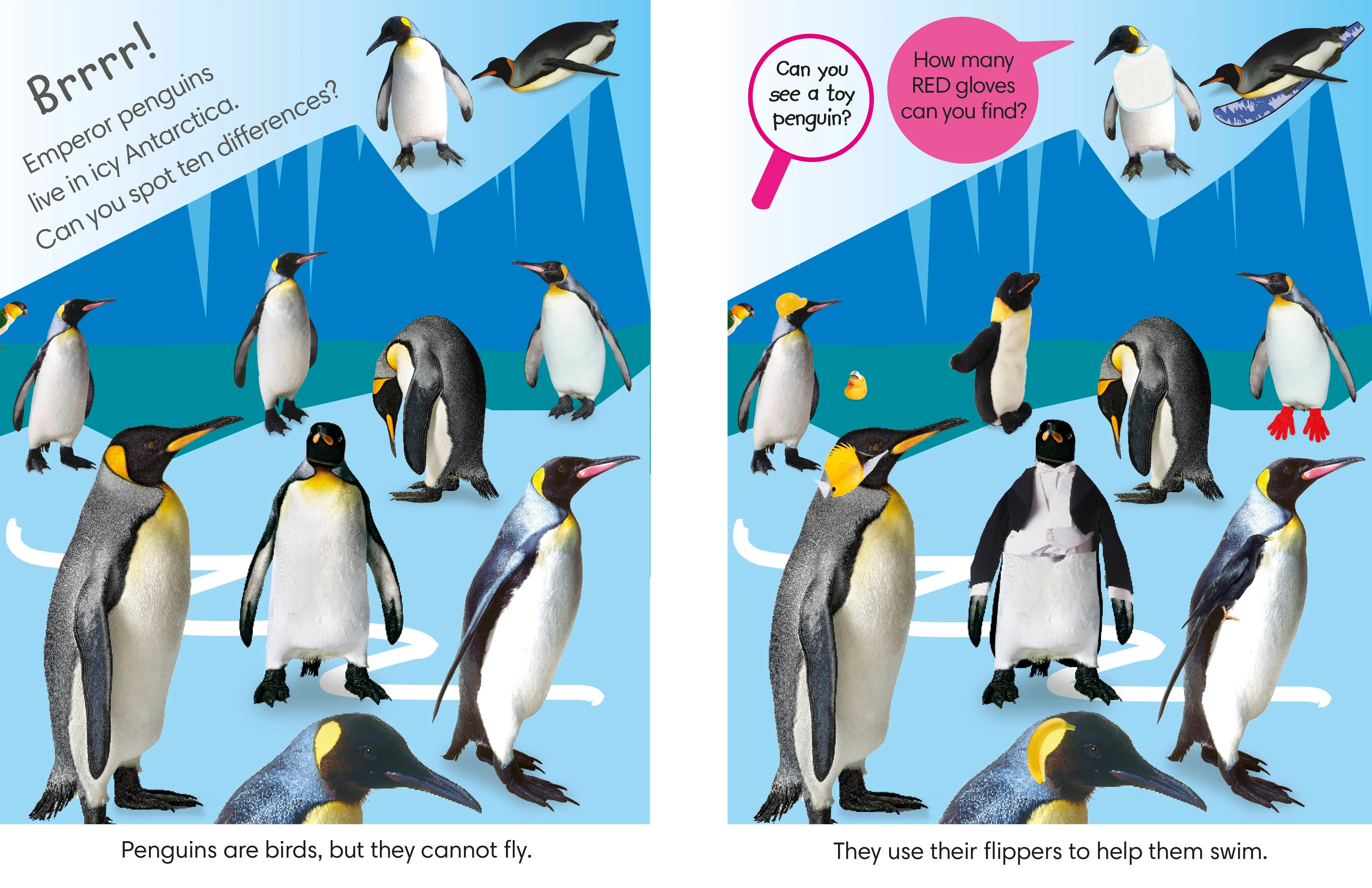Spot the Difference Animals - Image 4