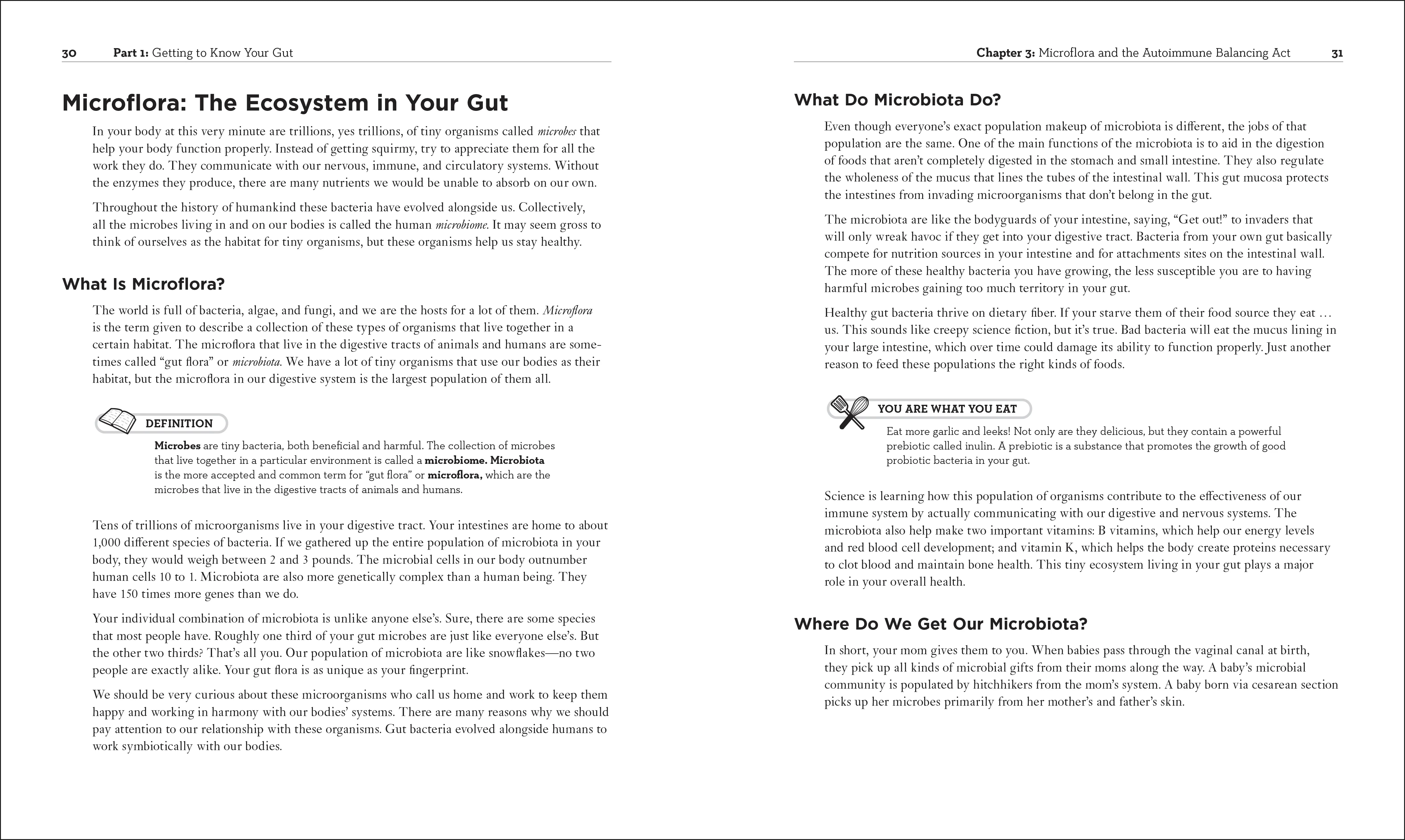Healthy Gut Diet - Image 2