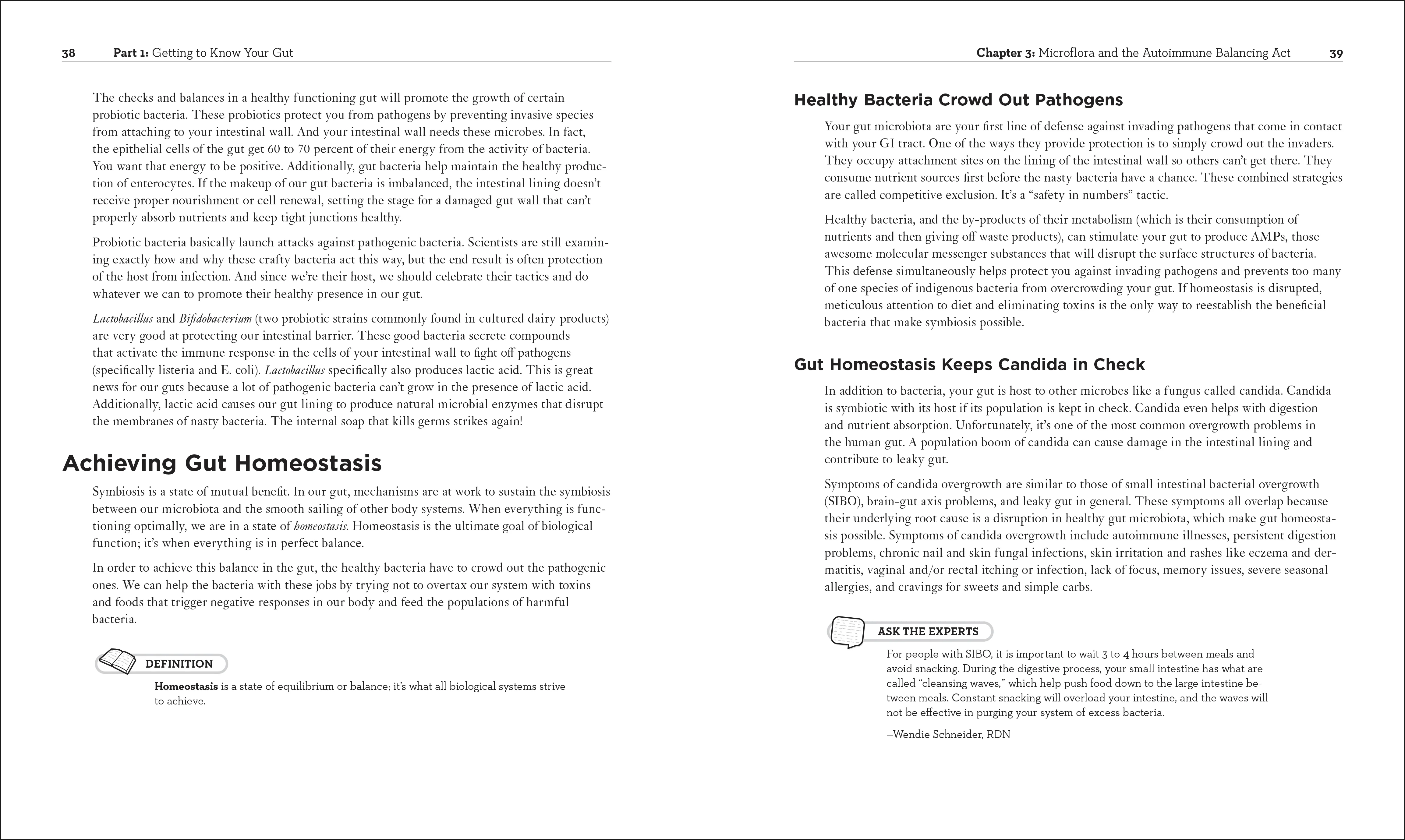 Healthy Gut Diet - Image 3