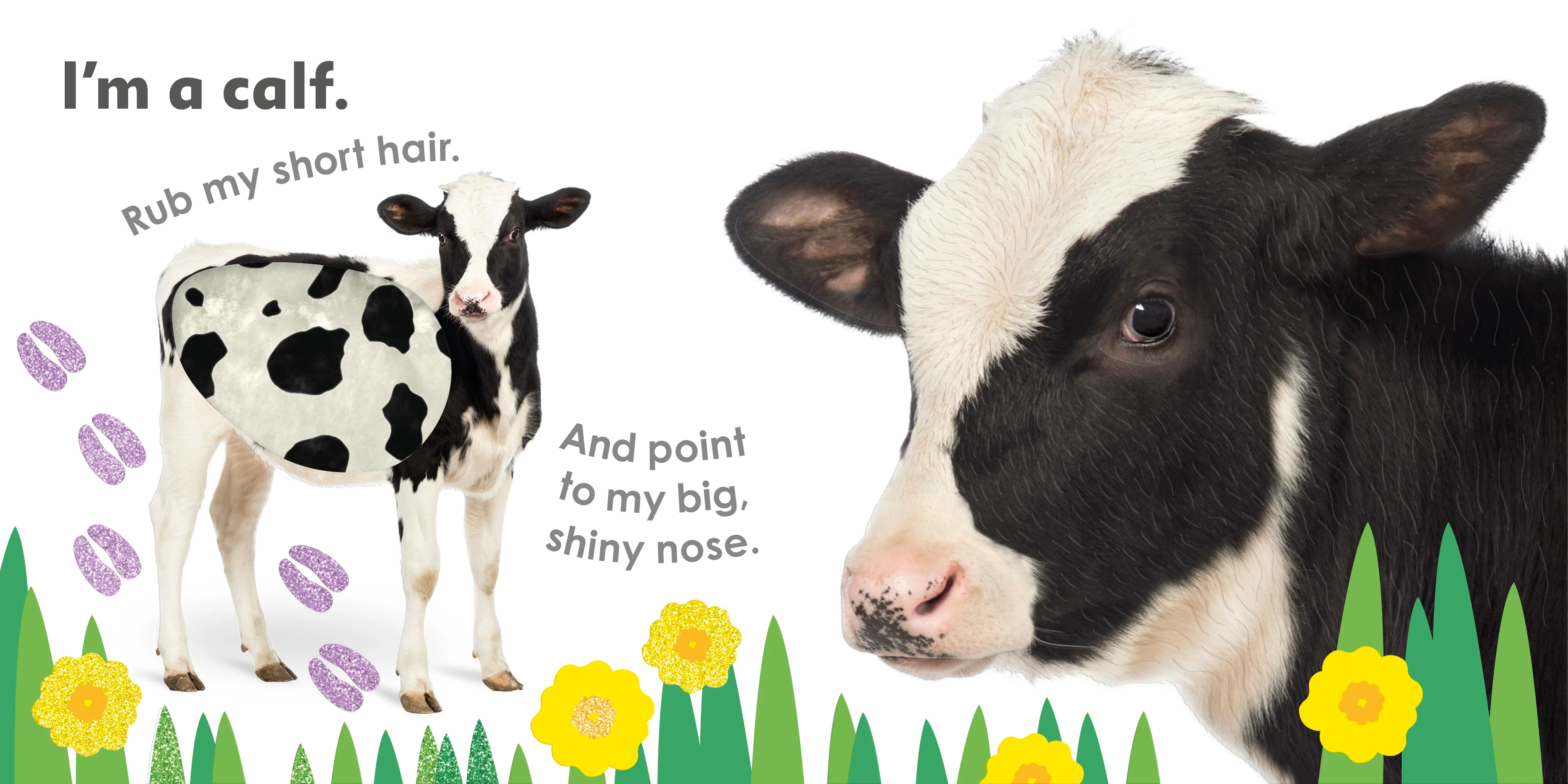 Really Feely Farm - Image 3