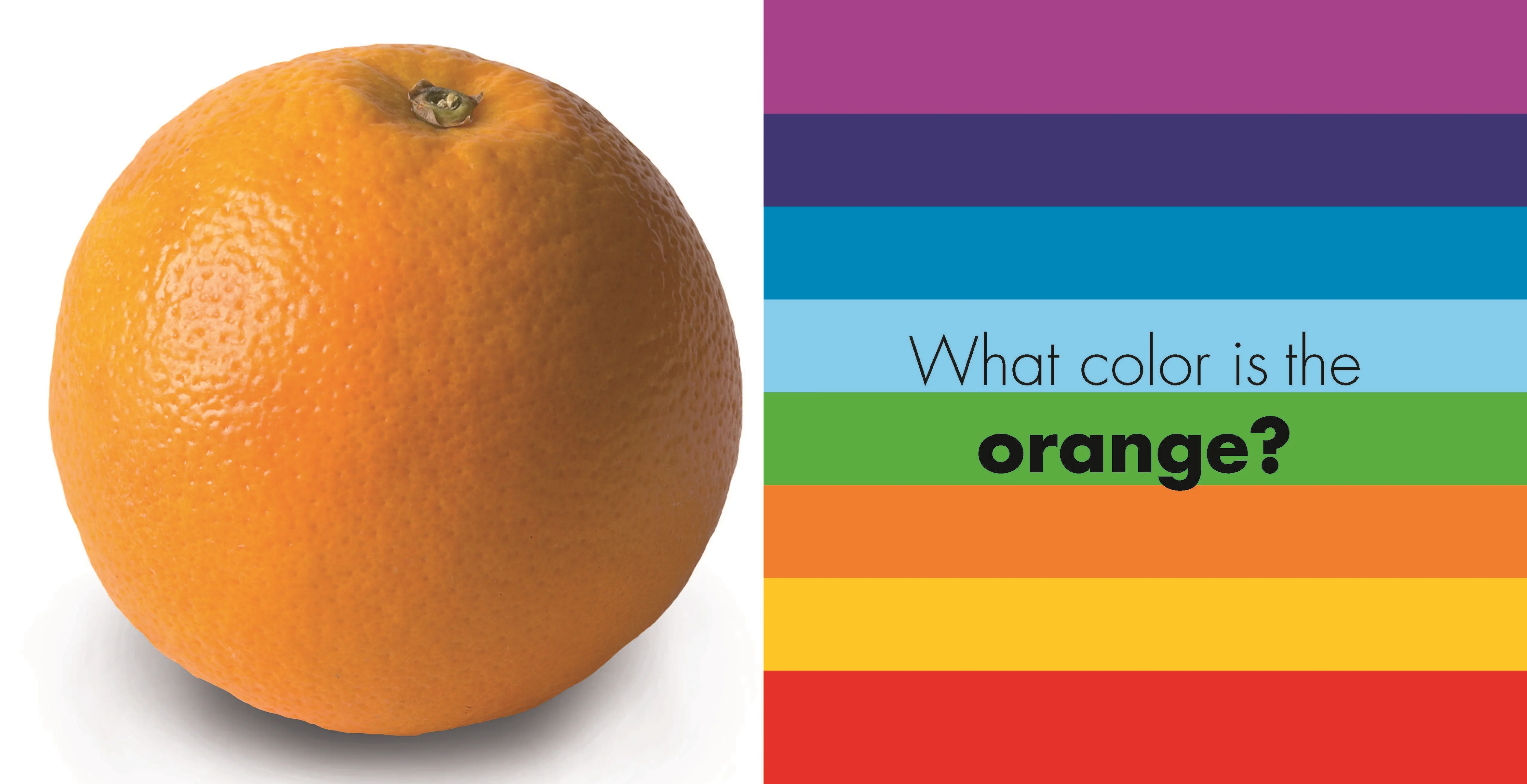 Flaptastic: Colors - Image 2