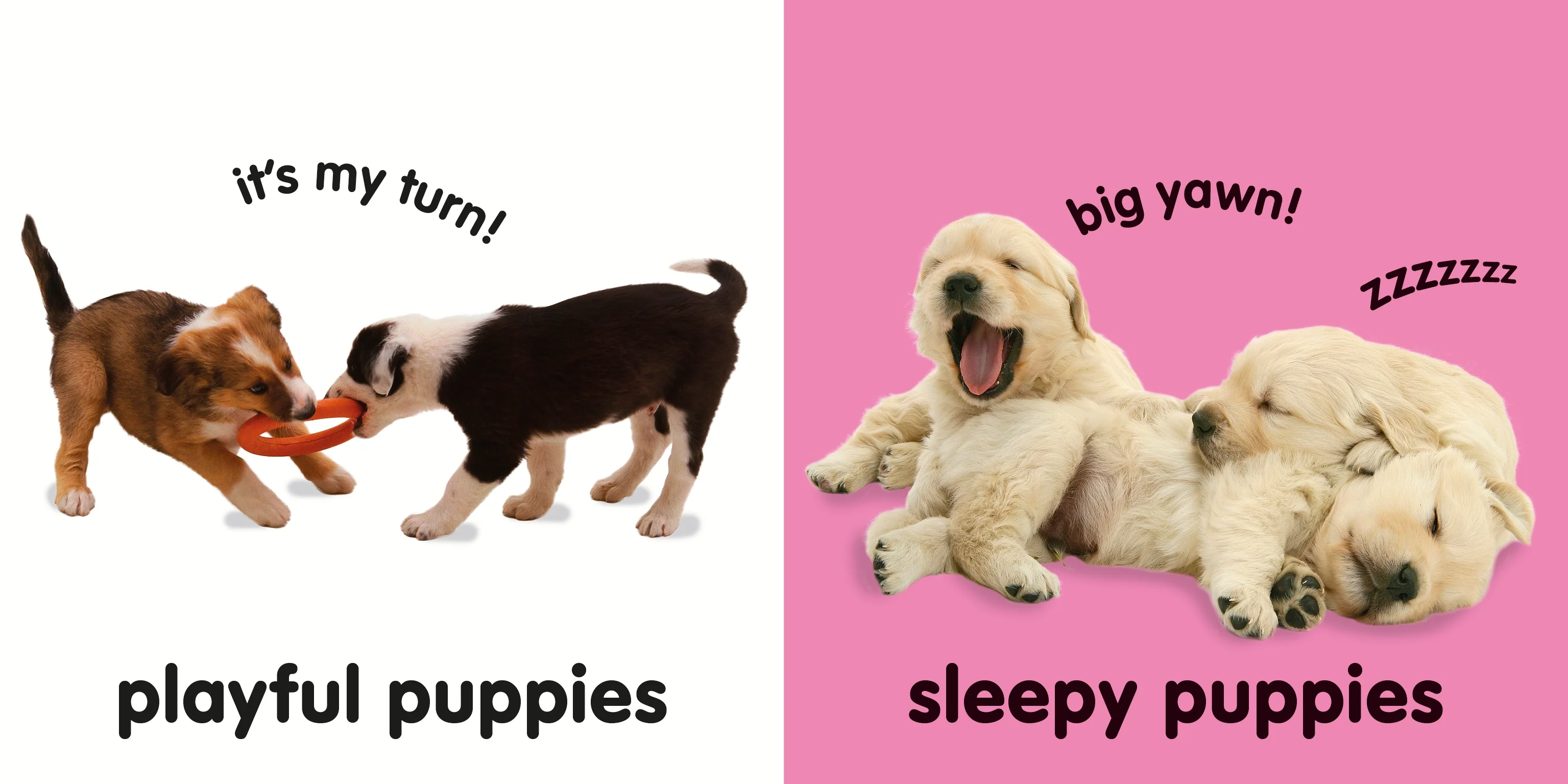 Baby Touch and Feel: Puppies - Image 3