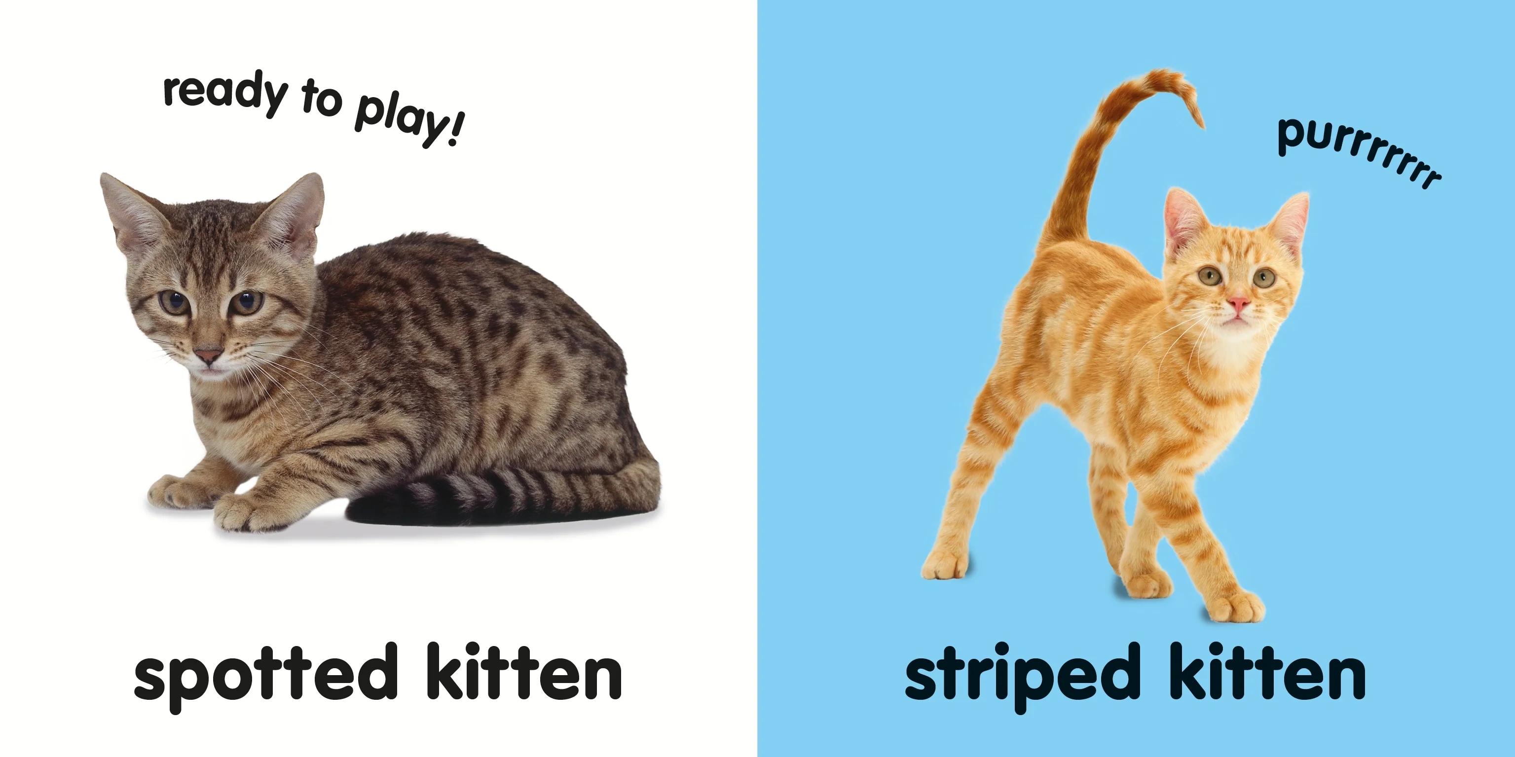 Baby Touch and Feel Kittens - Image 2