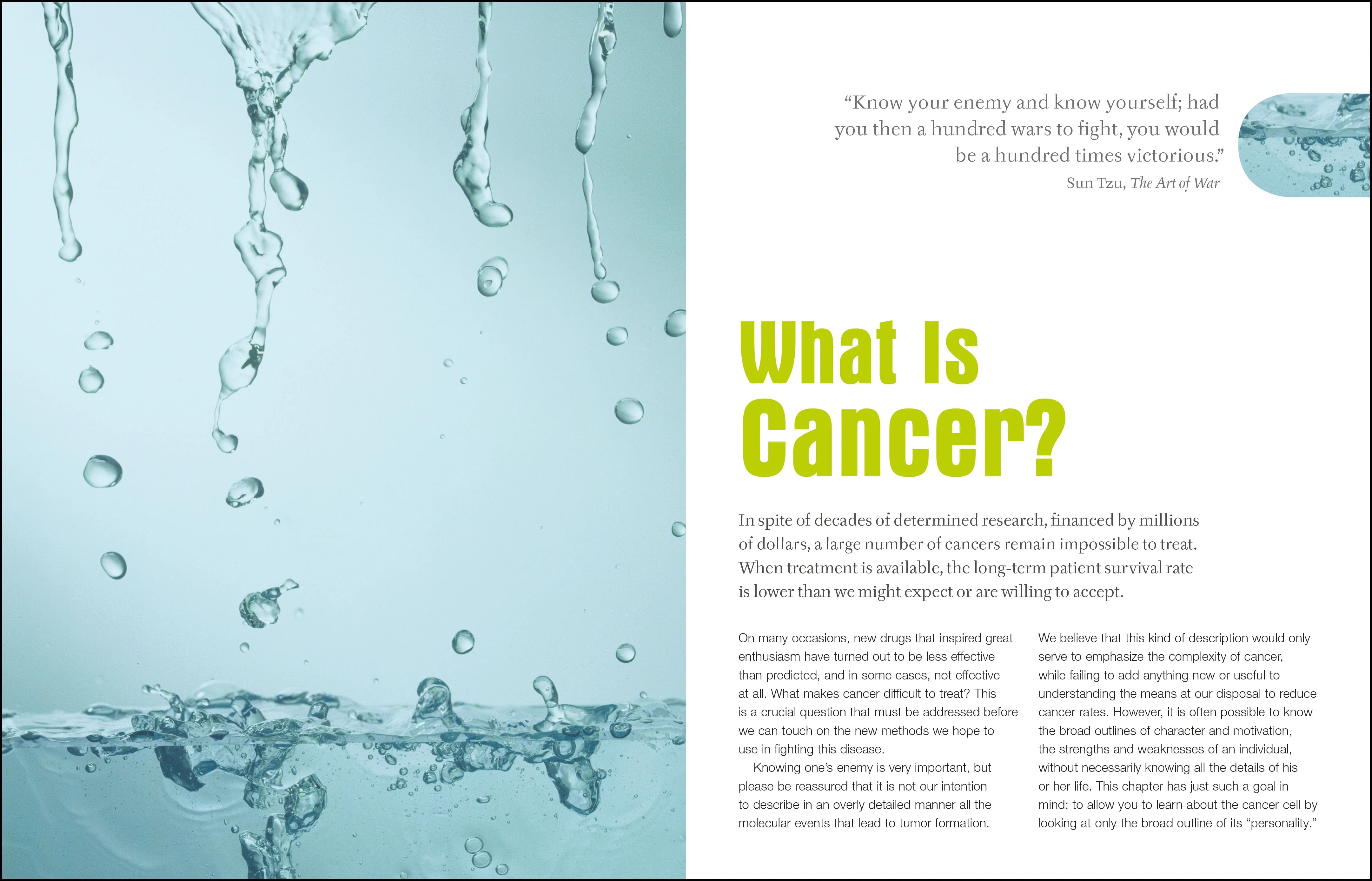 Foods to Fight Cancer - Image 2