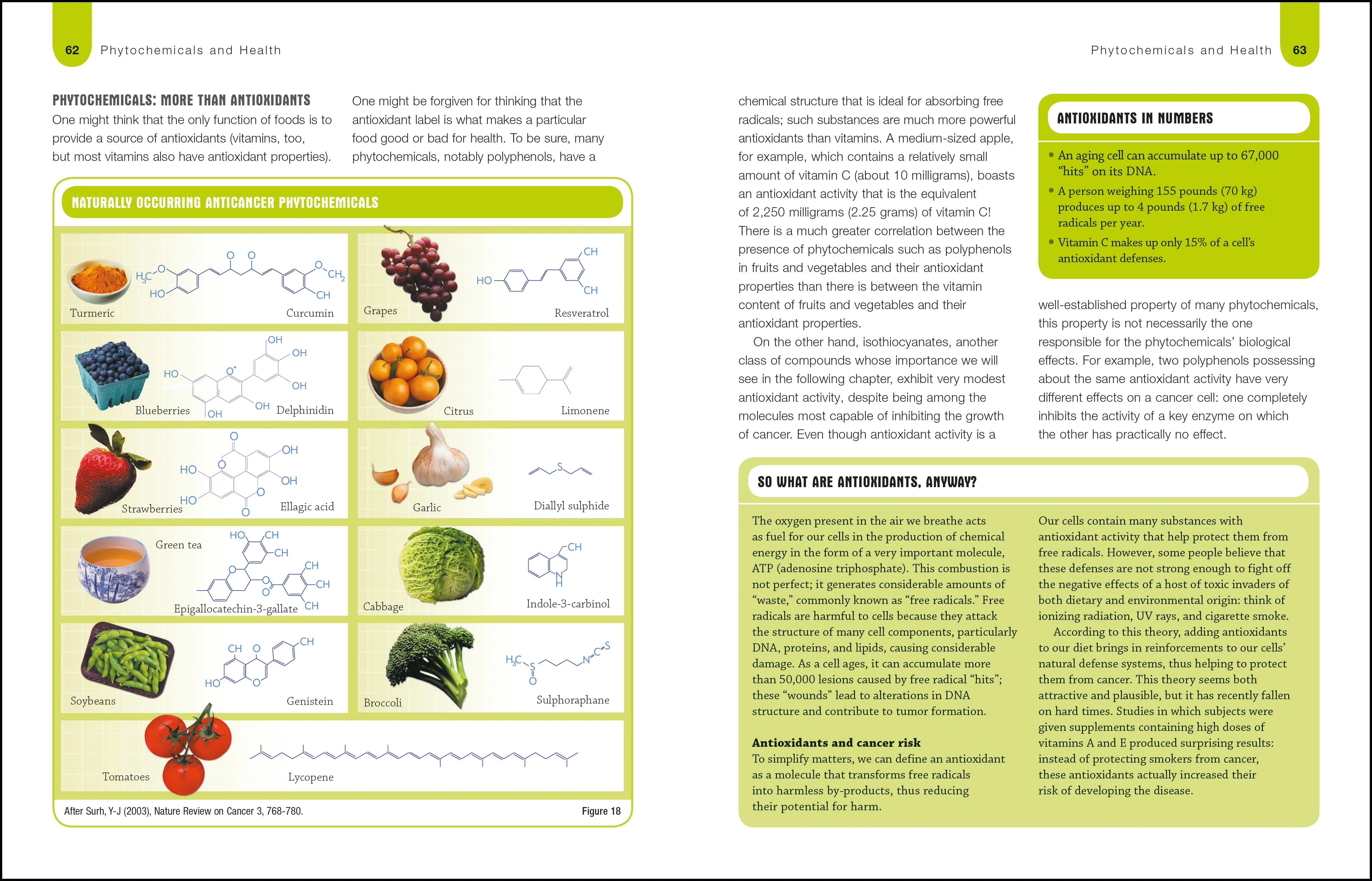 Foods to Fight Cancer - Image 3