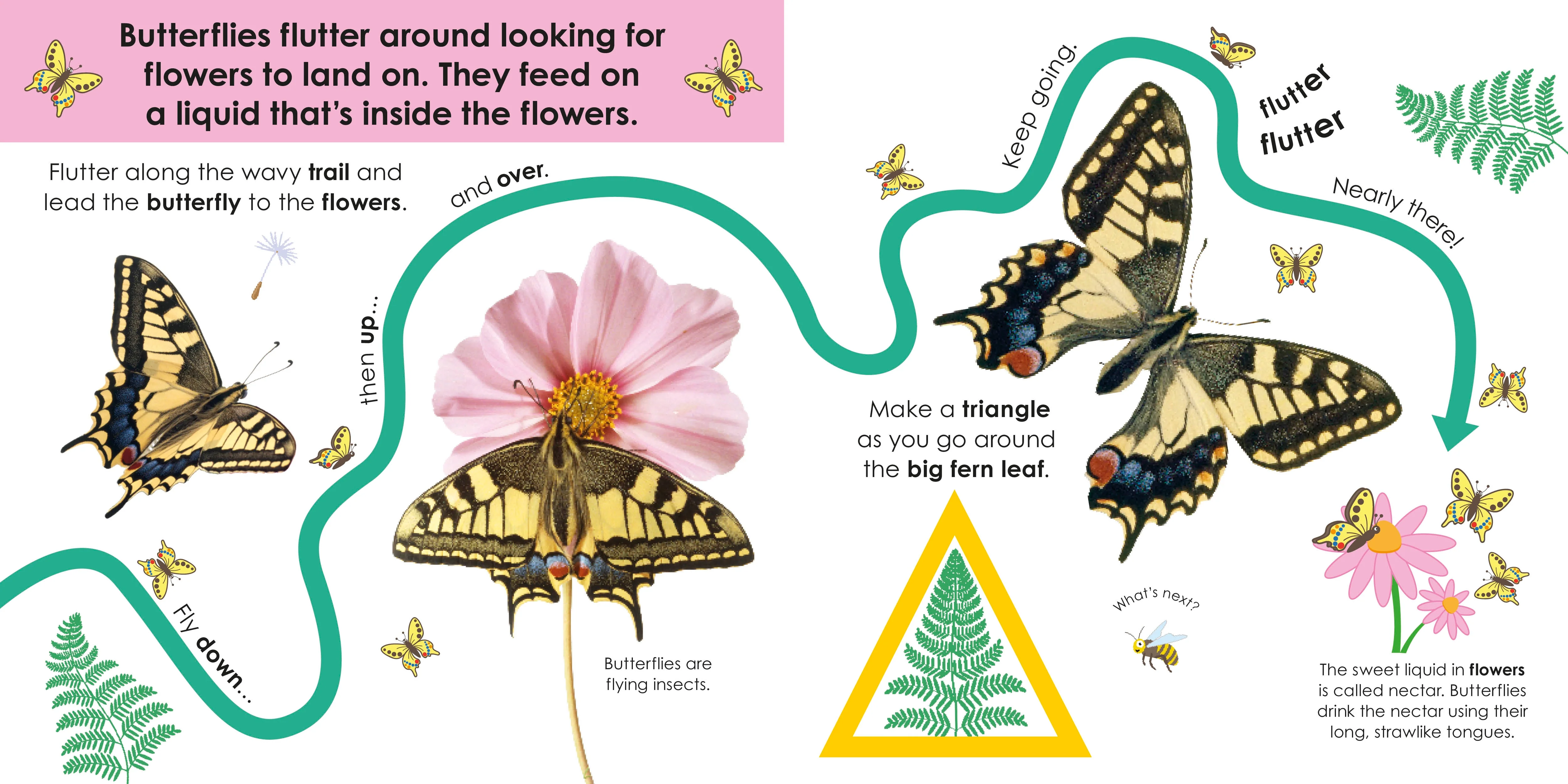 Follow the Trail: Bugs - Image 2