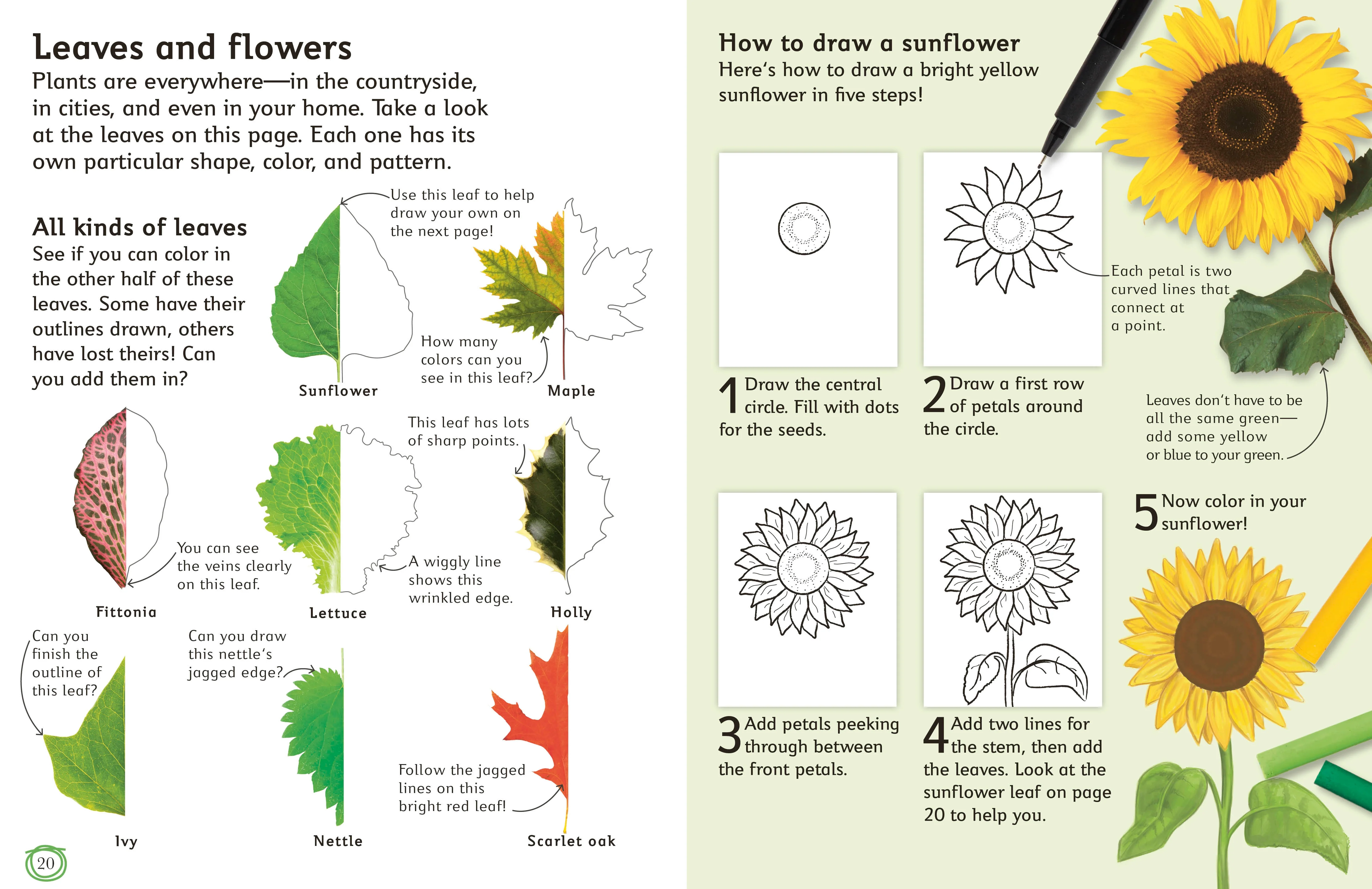 How to Draw - Image 4