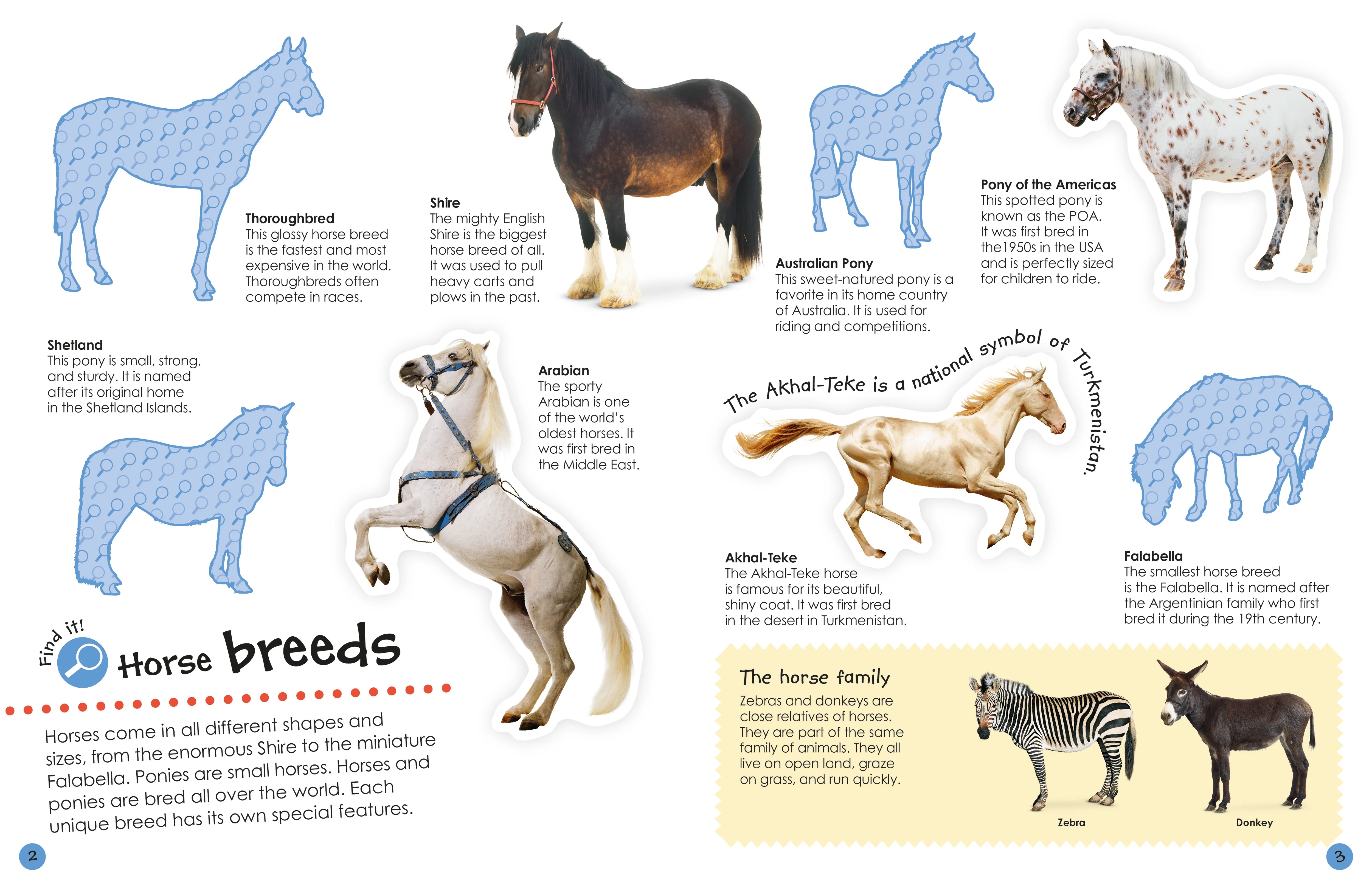 Ultimate Sticker Book: Horses and Ponies - Image 2