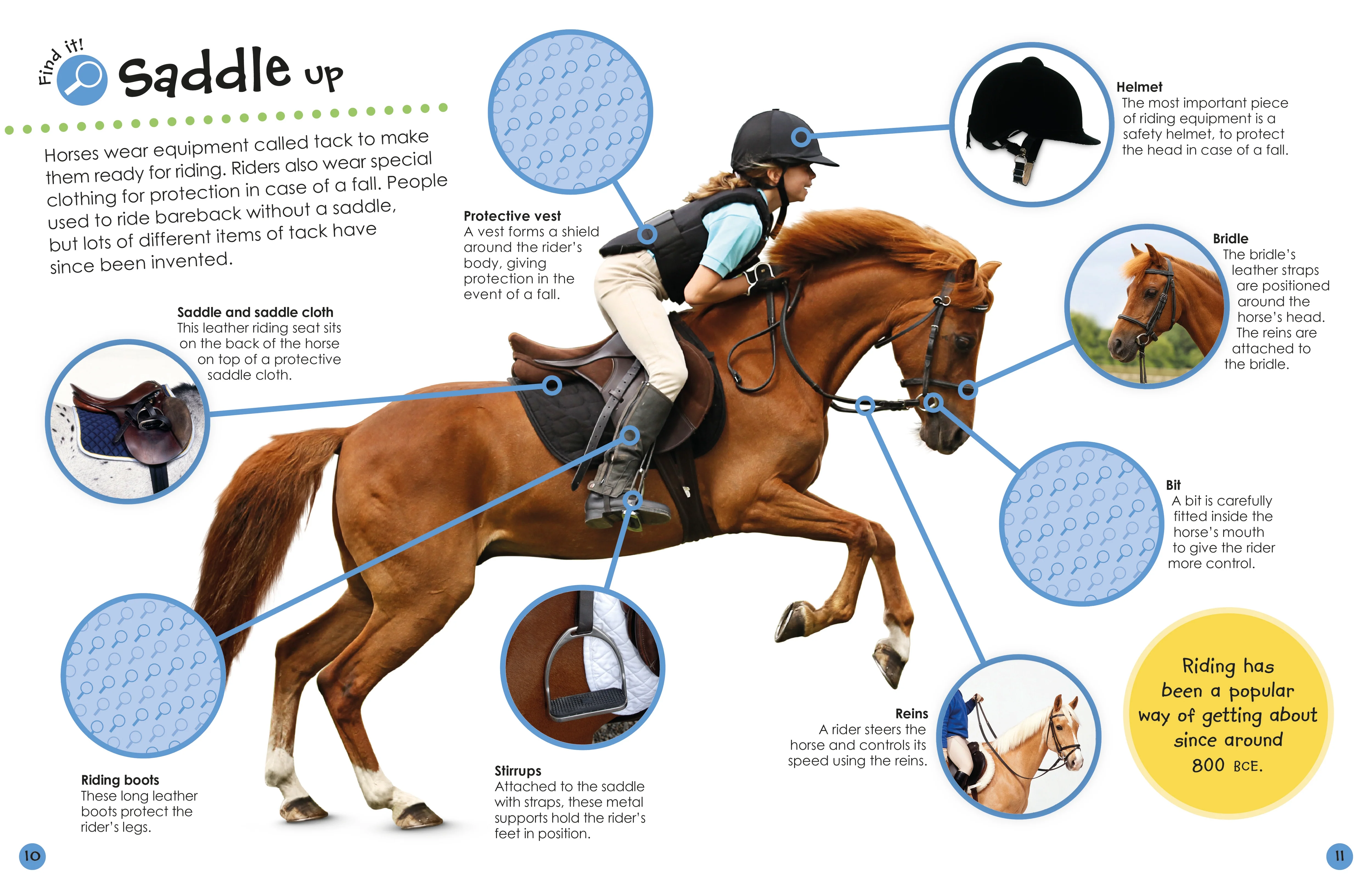 Ultimate Sticker Book: Horses and Ponies - Image 4