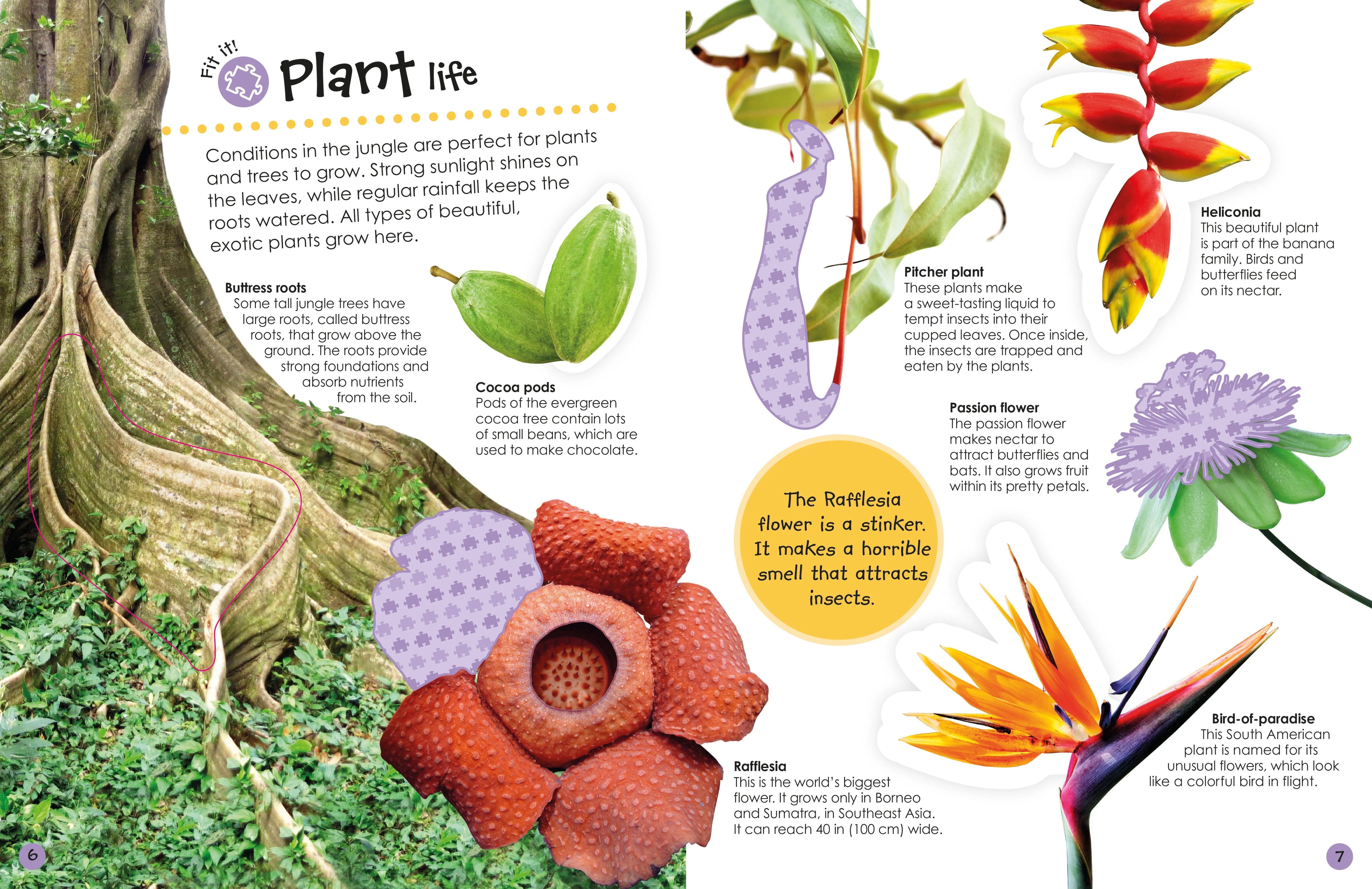 Ultimate Sticker Book: Jungle - Image 3