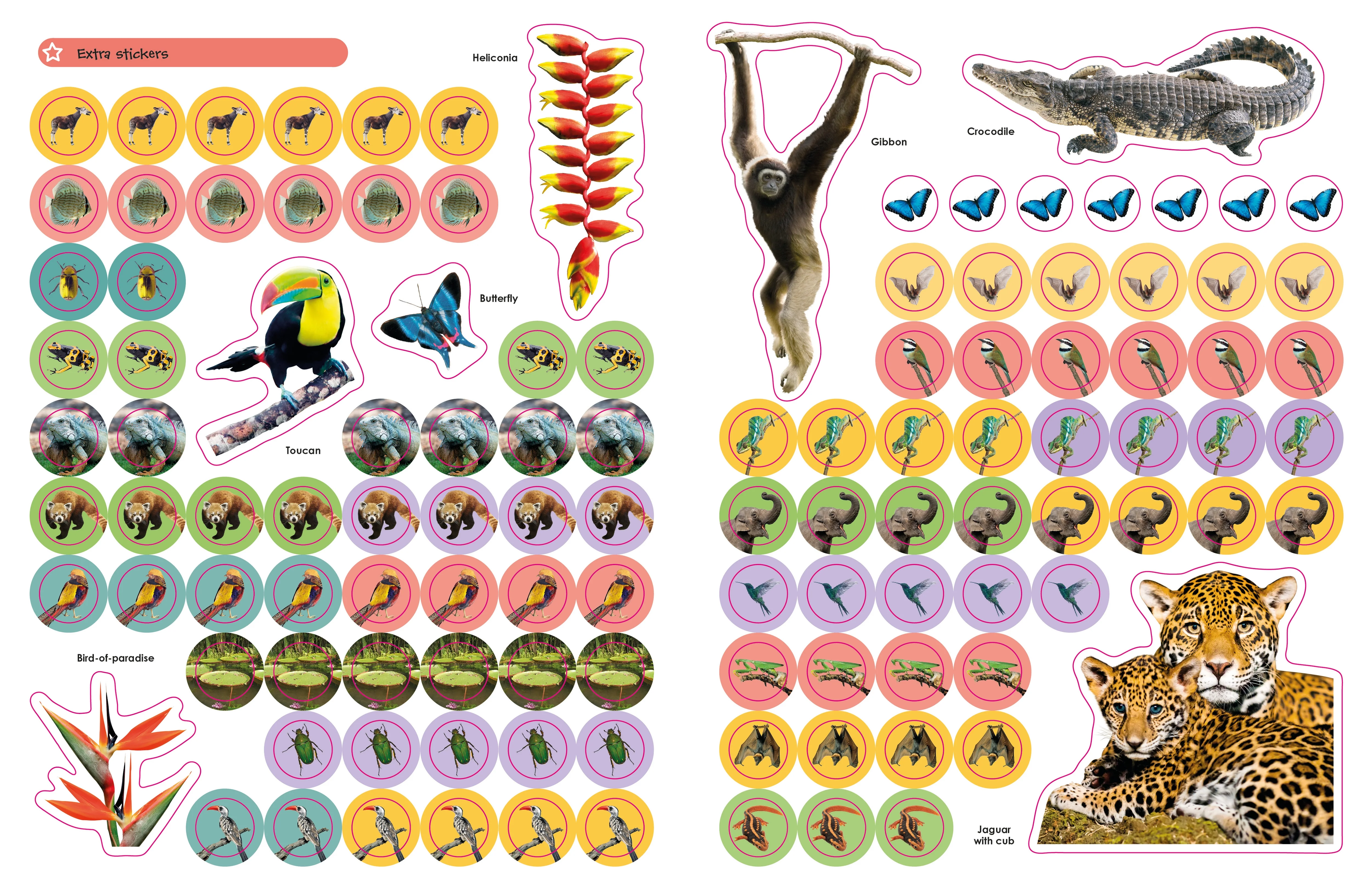 Ultimate Sticker Book: Jungle - Image 5