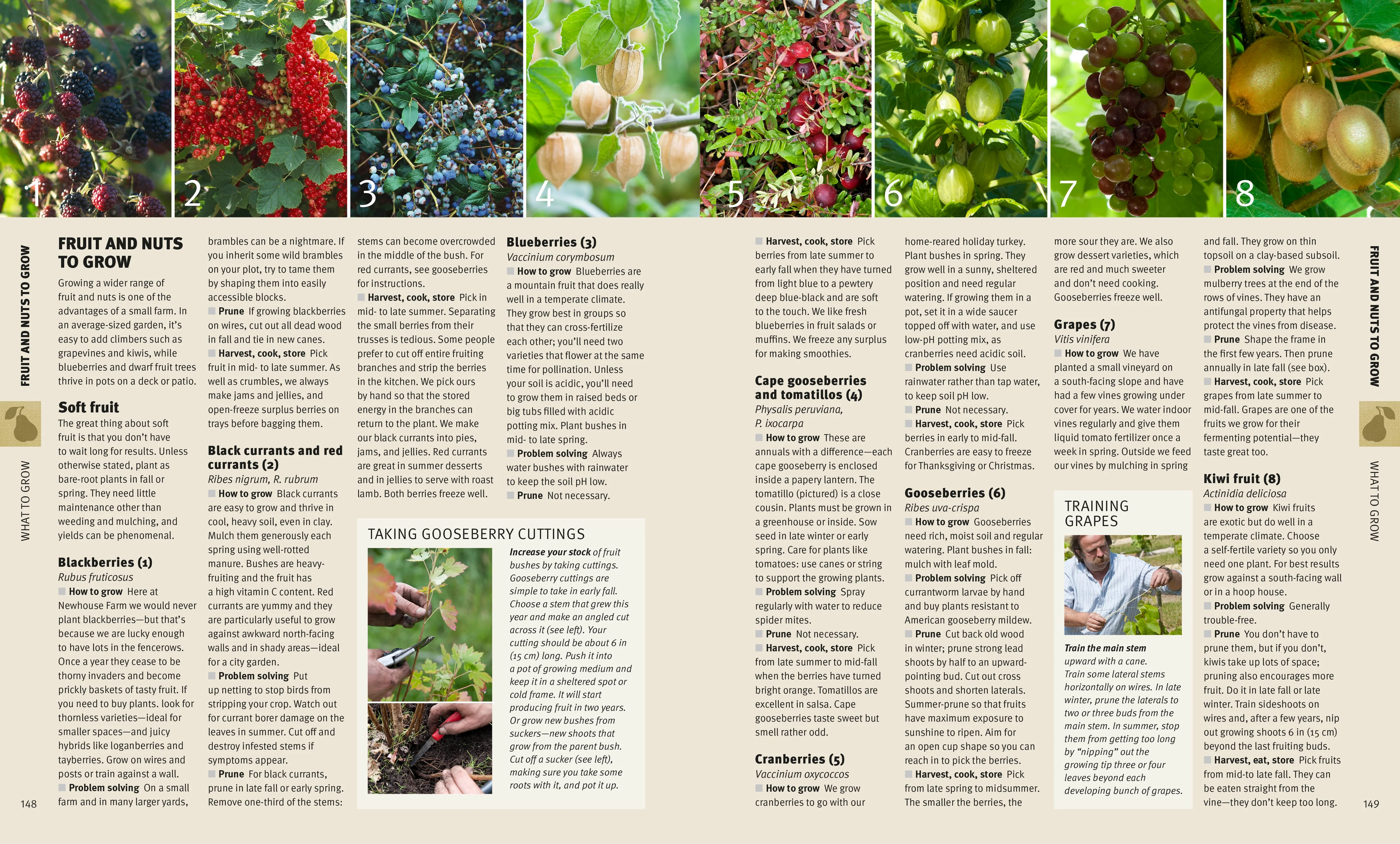 Self Sufficiency for the 21st Century - Image 3