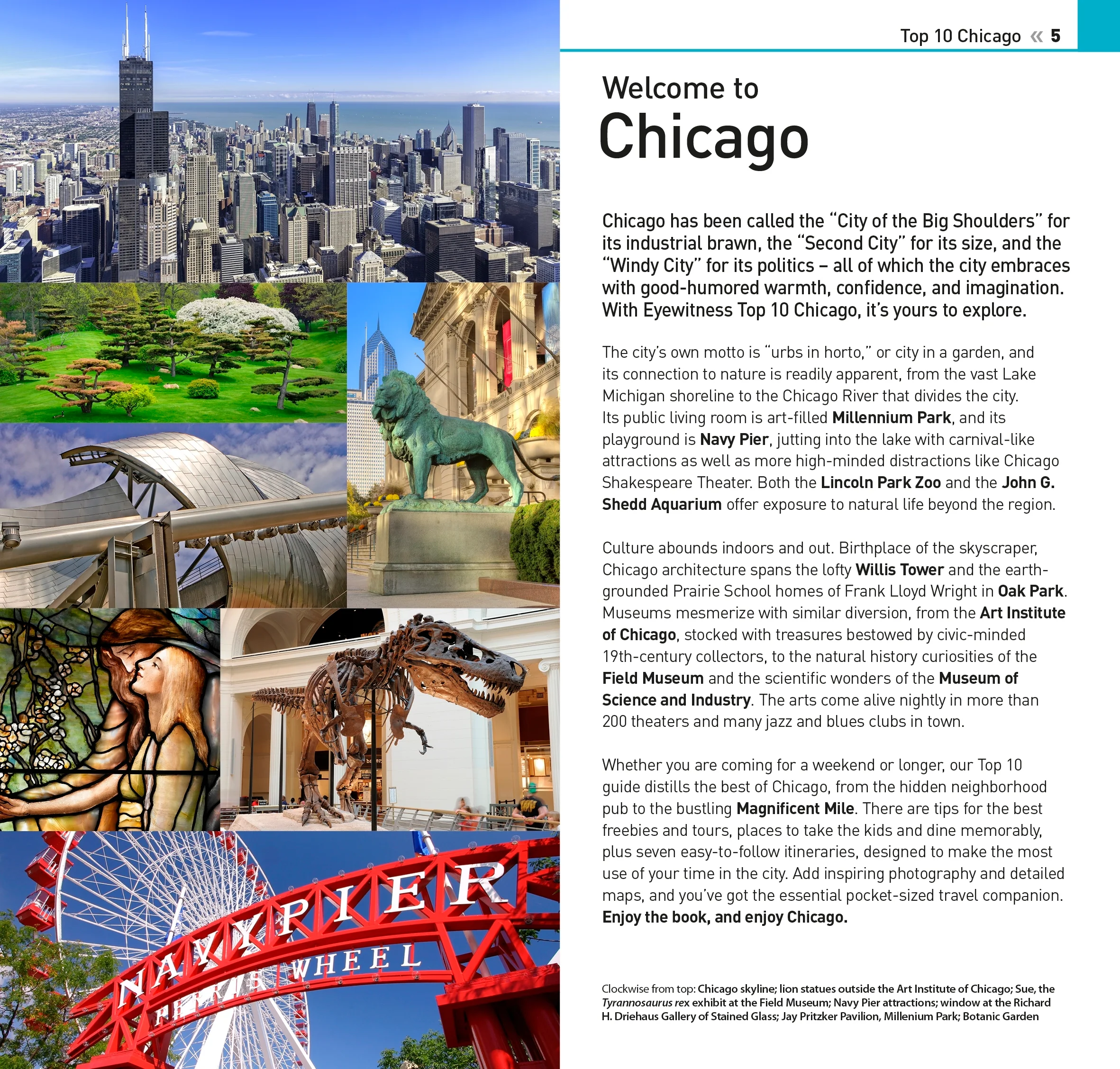 DK Top 10 Chicago - Image 2