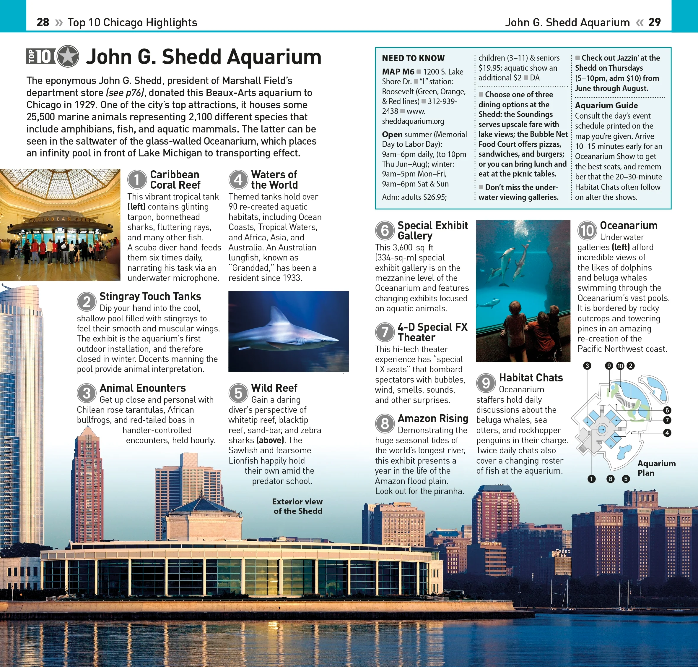 DK Top 10 Chicago - Image 5