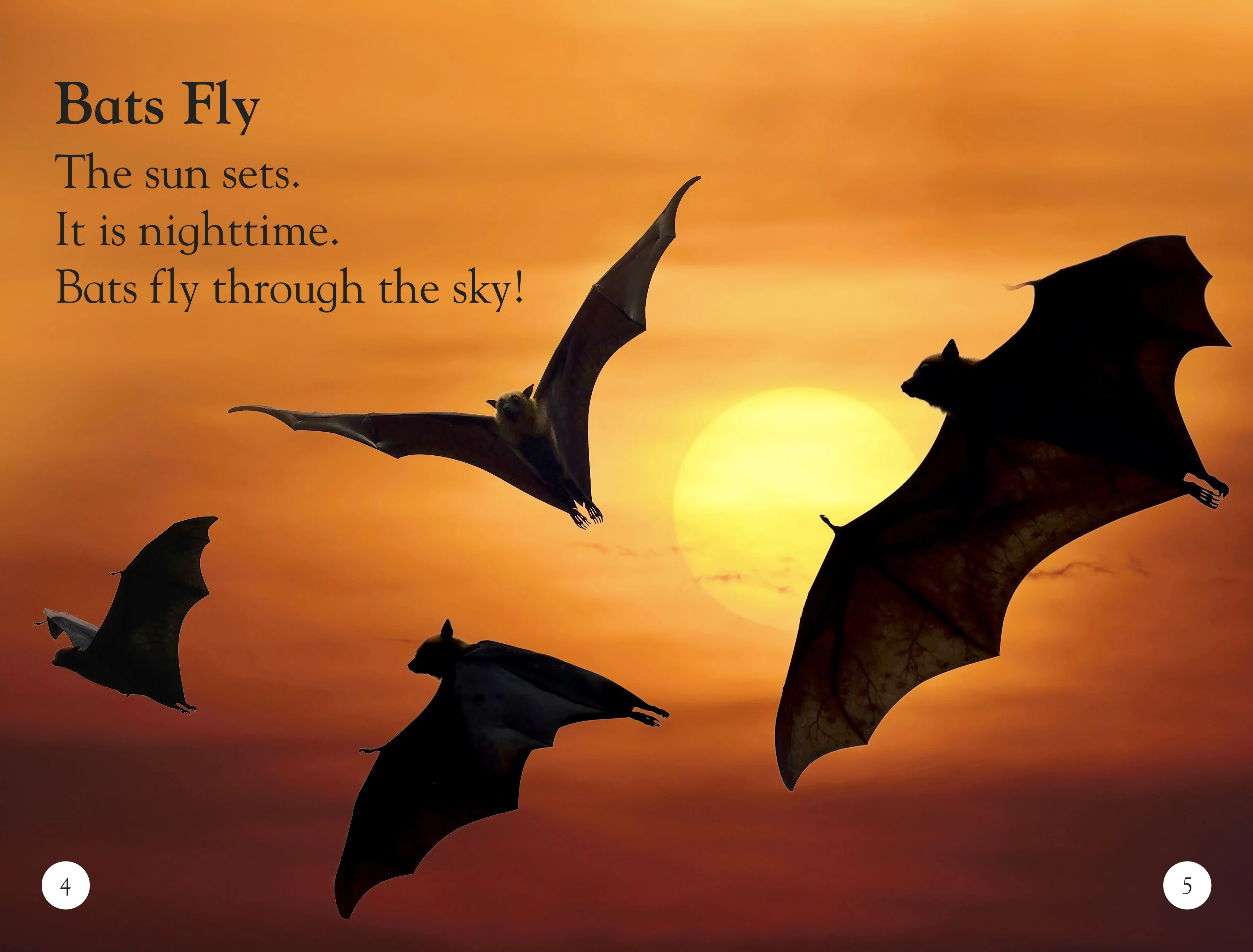 DK Readers L1: All About Bats - Image 2