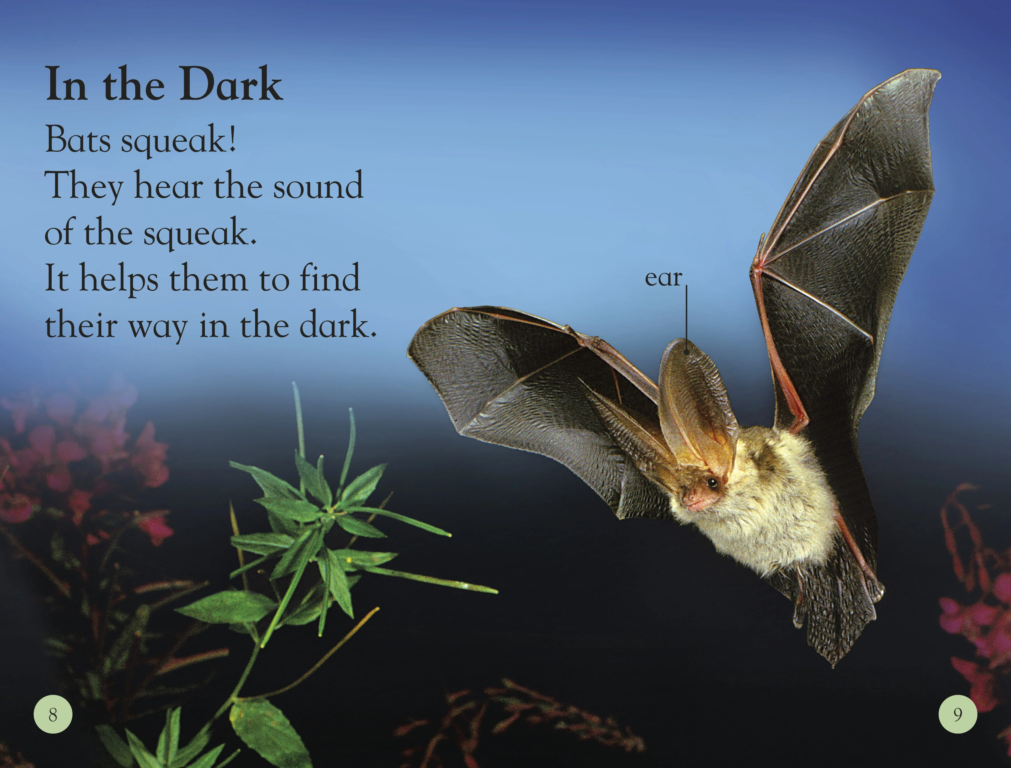 DK Readers L1: All About Bats - Image 3
