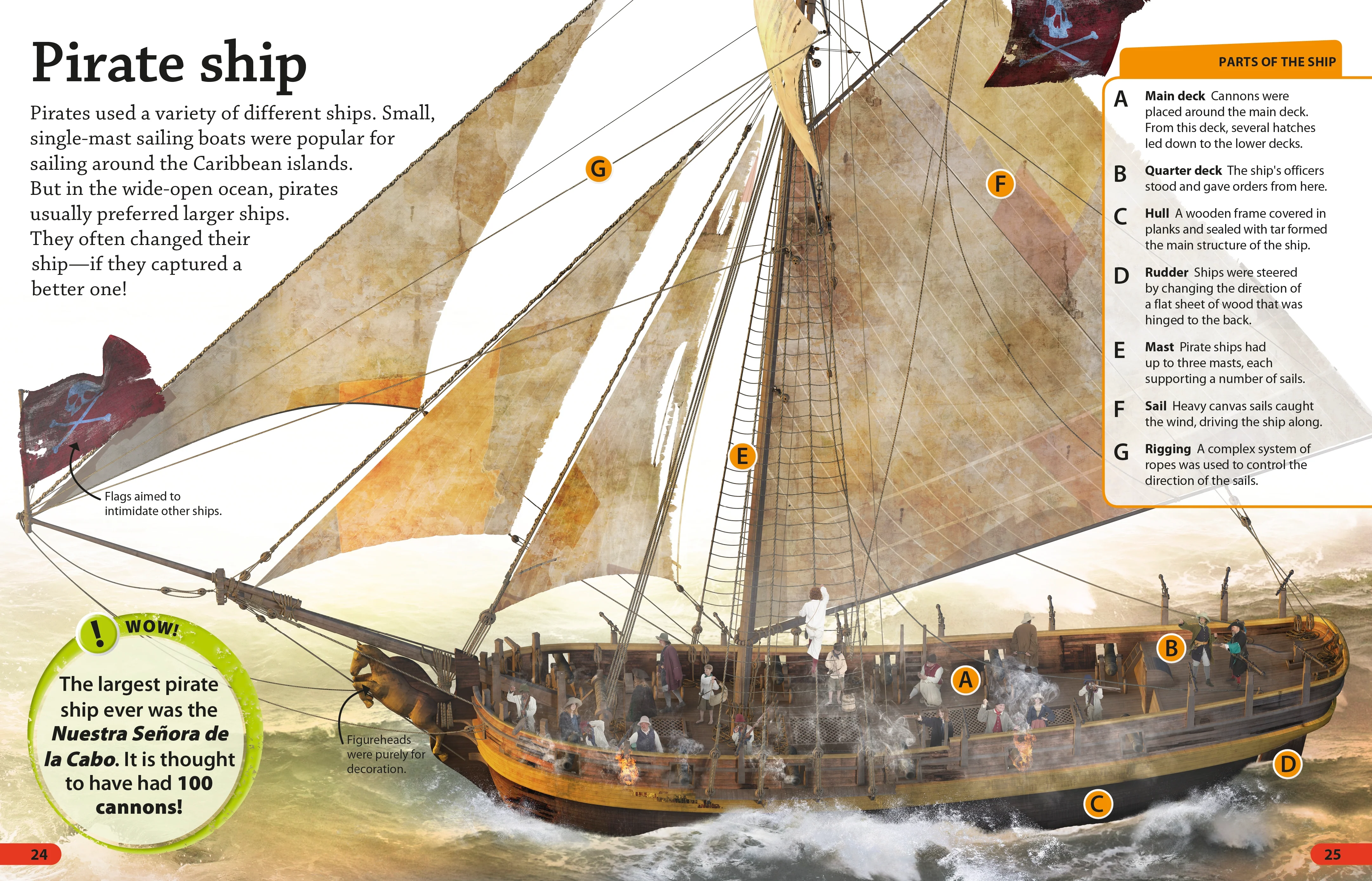 DKfindout! Pirates - Image 2