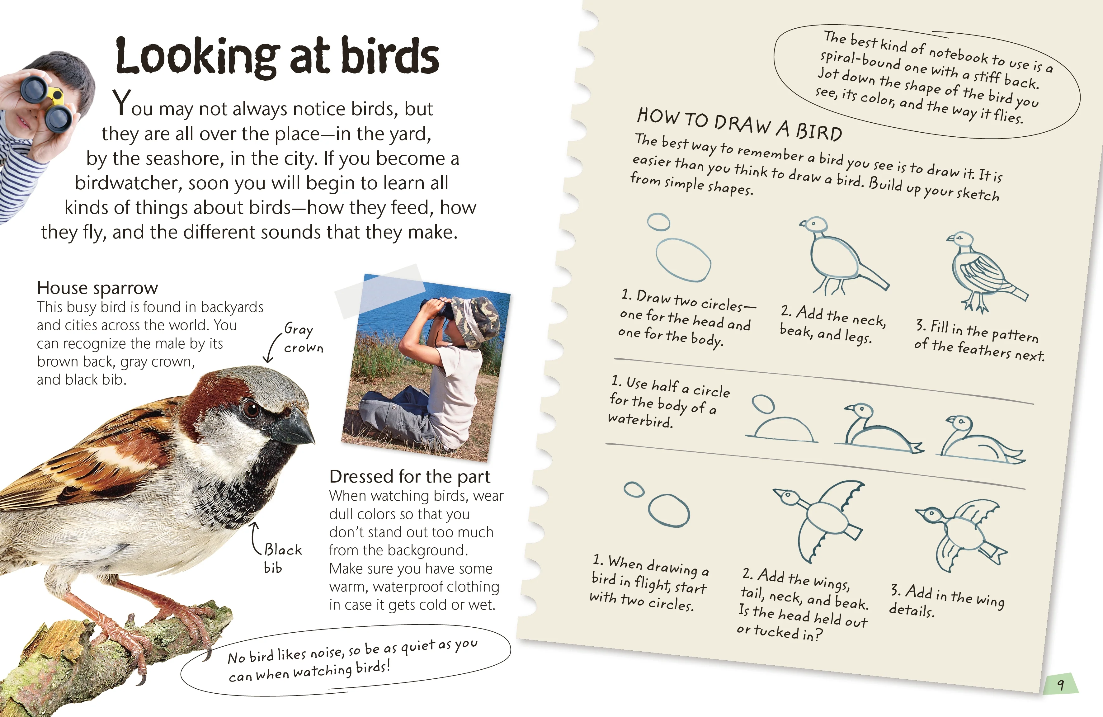Birds - Image 2