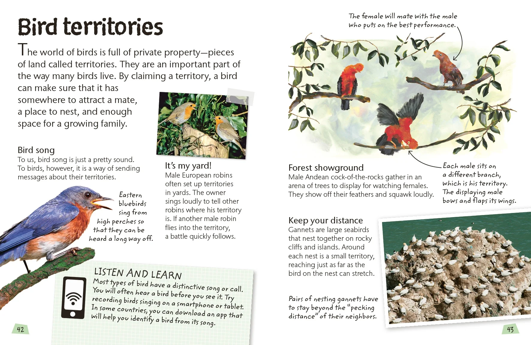 Birds - Image 4