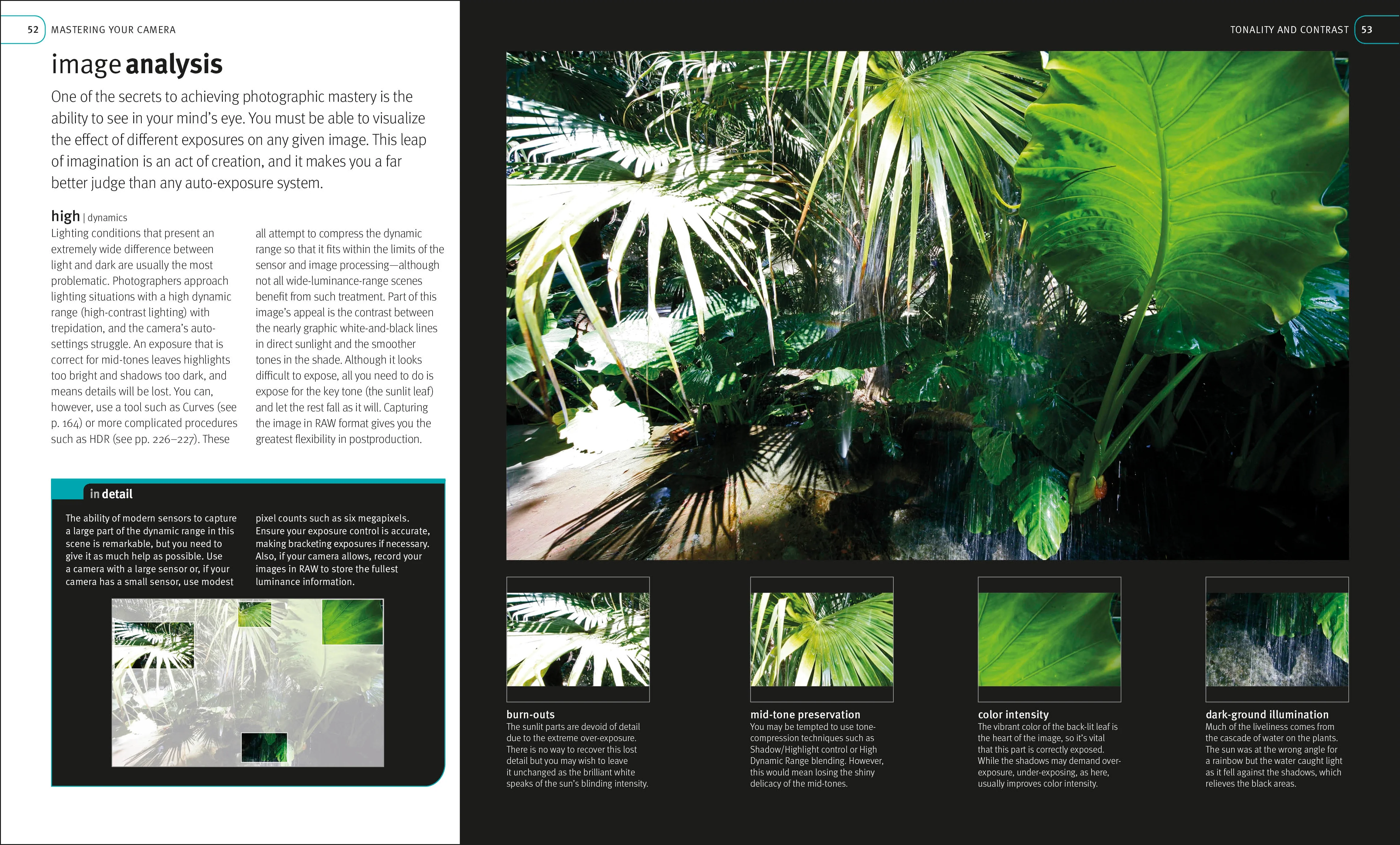 Digital Photography Masterclass - Image 4