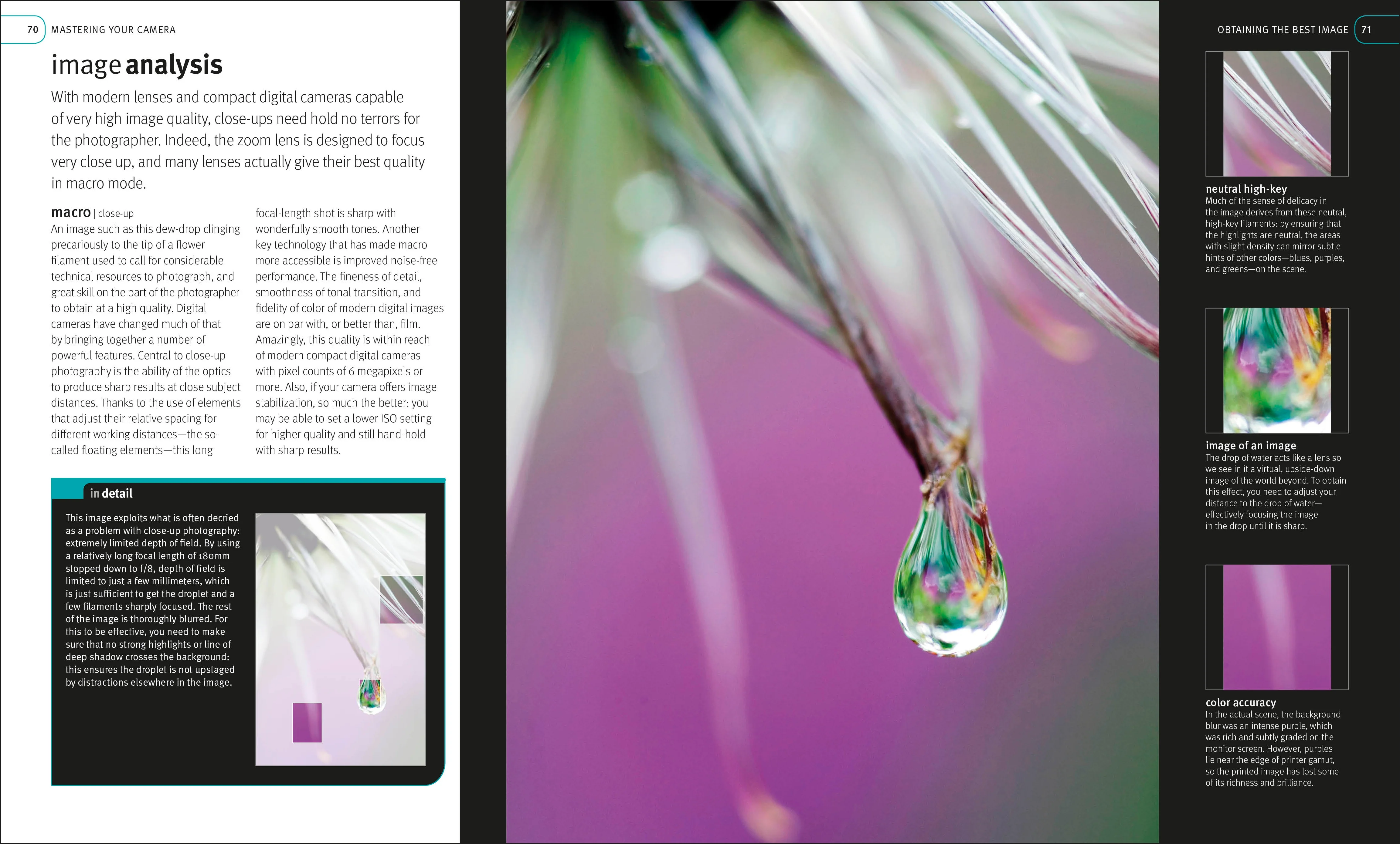 Digital Photography Masterclass - Image 5