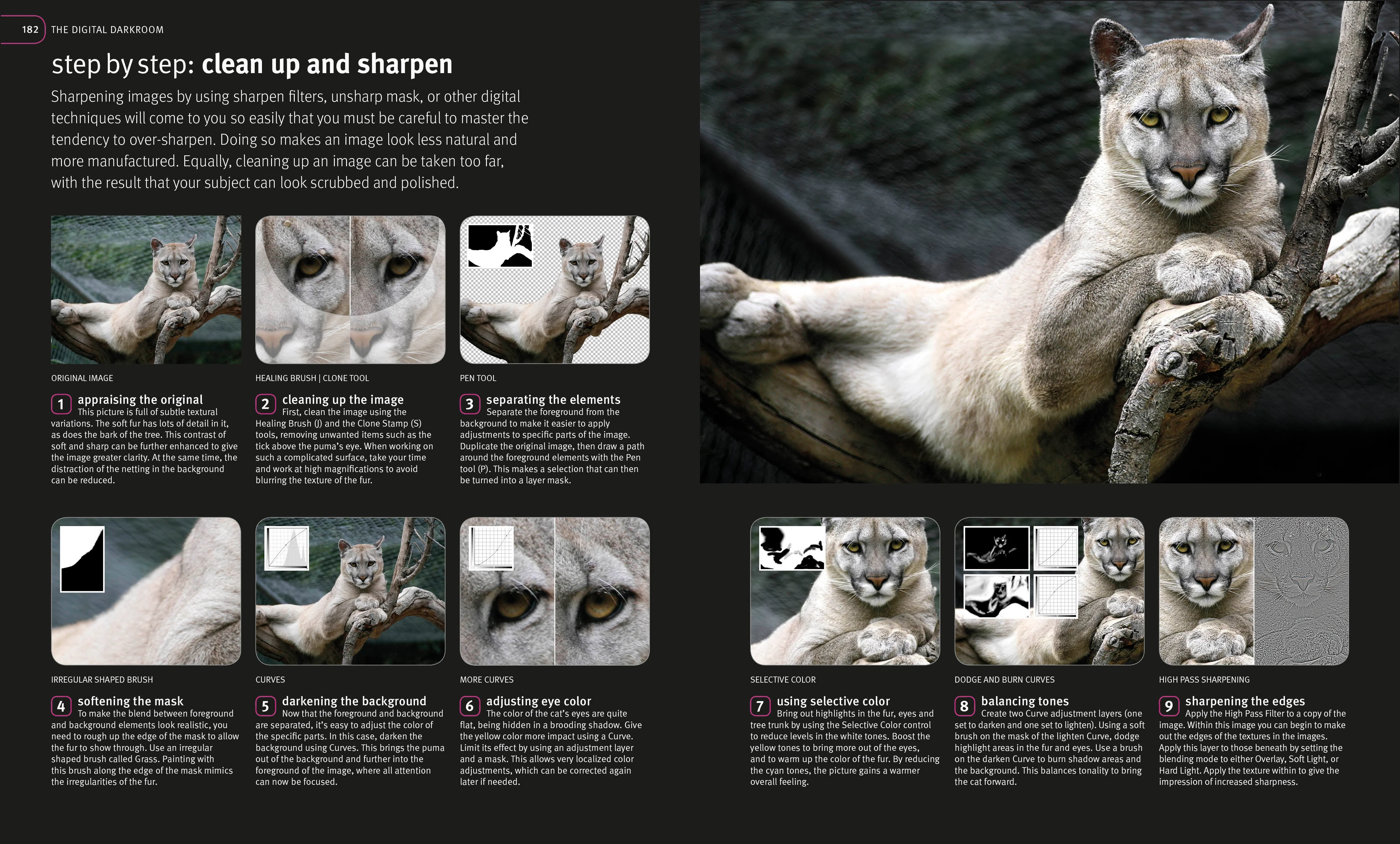 Digital Photography Masterclass - Image 6