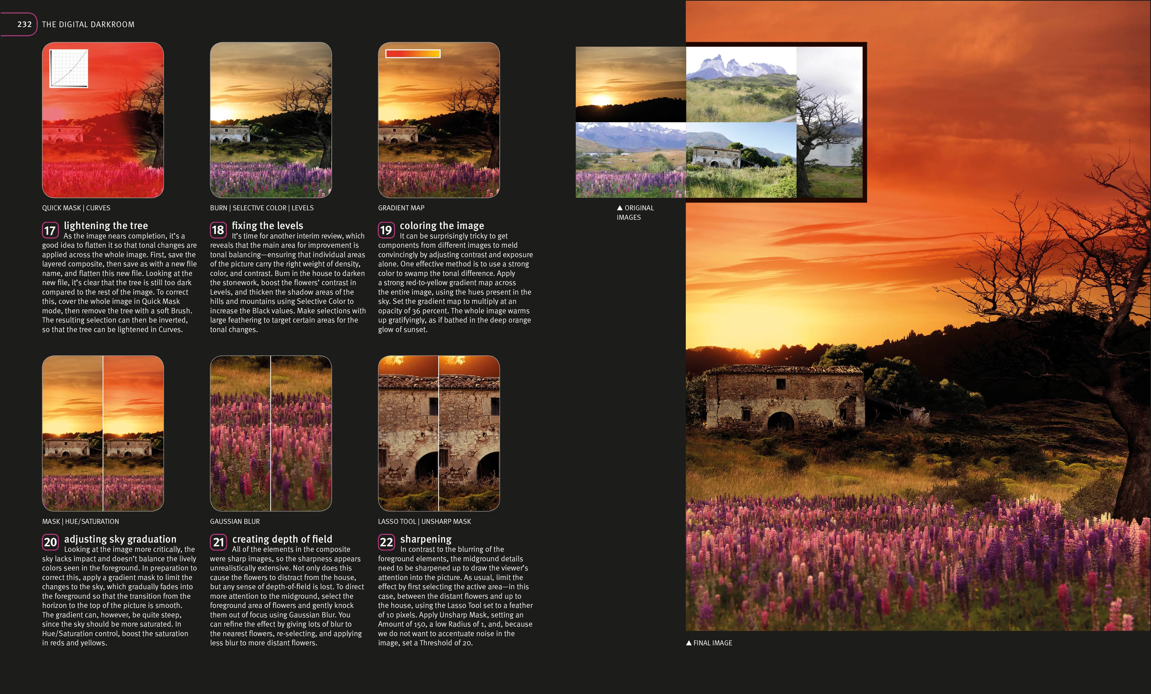 Digital Photography Masterclass - Image 8