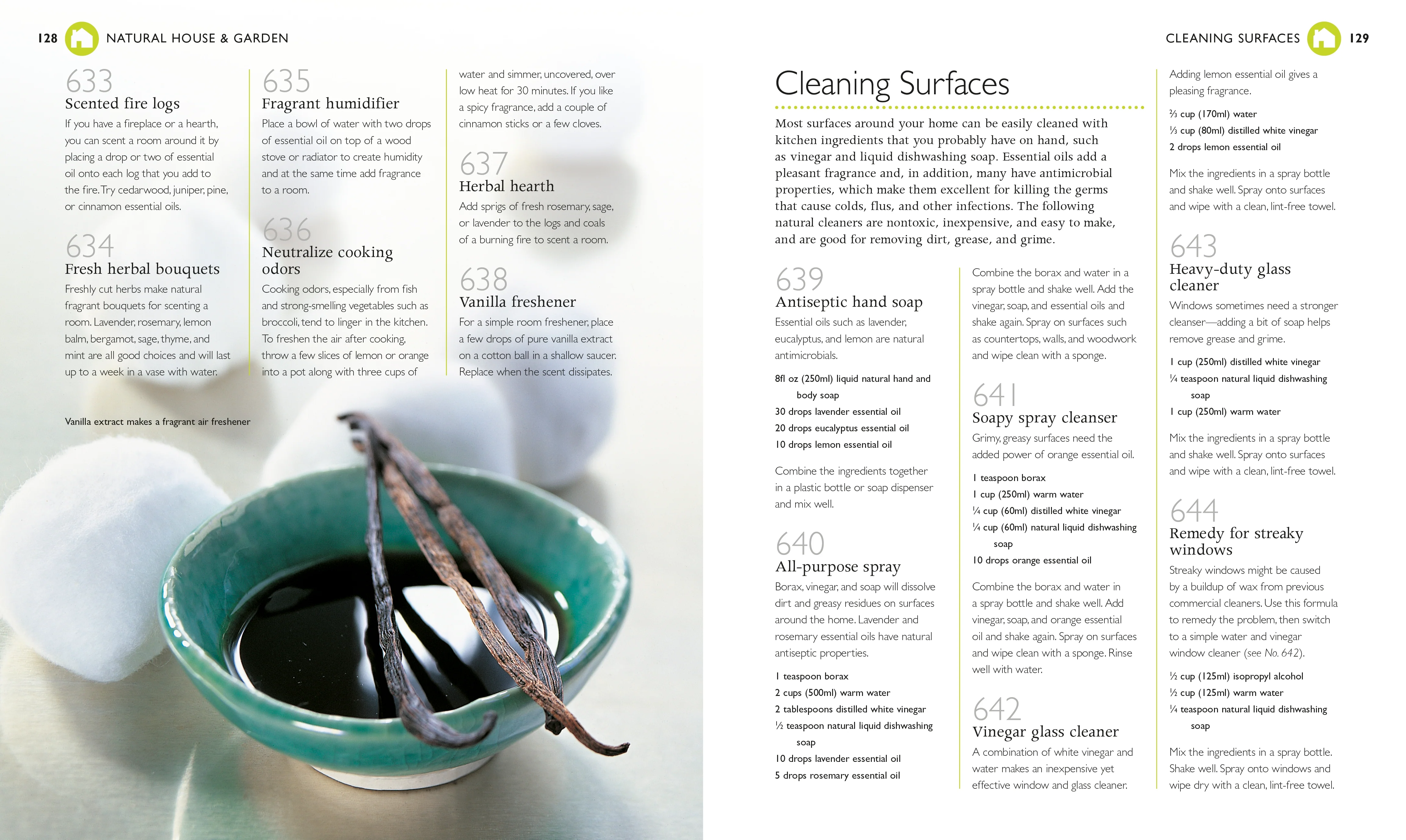 1001 Natural Remedies - Image 4