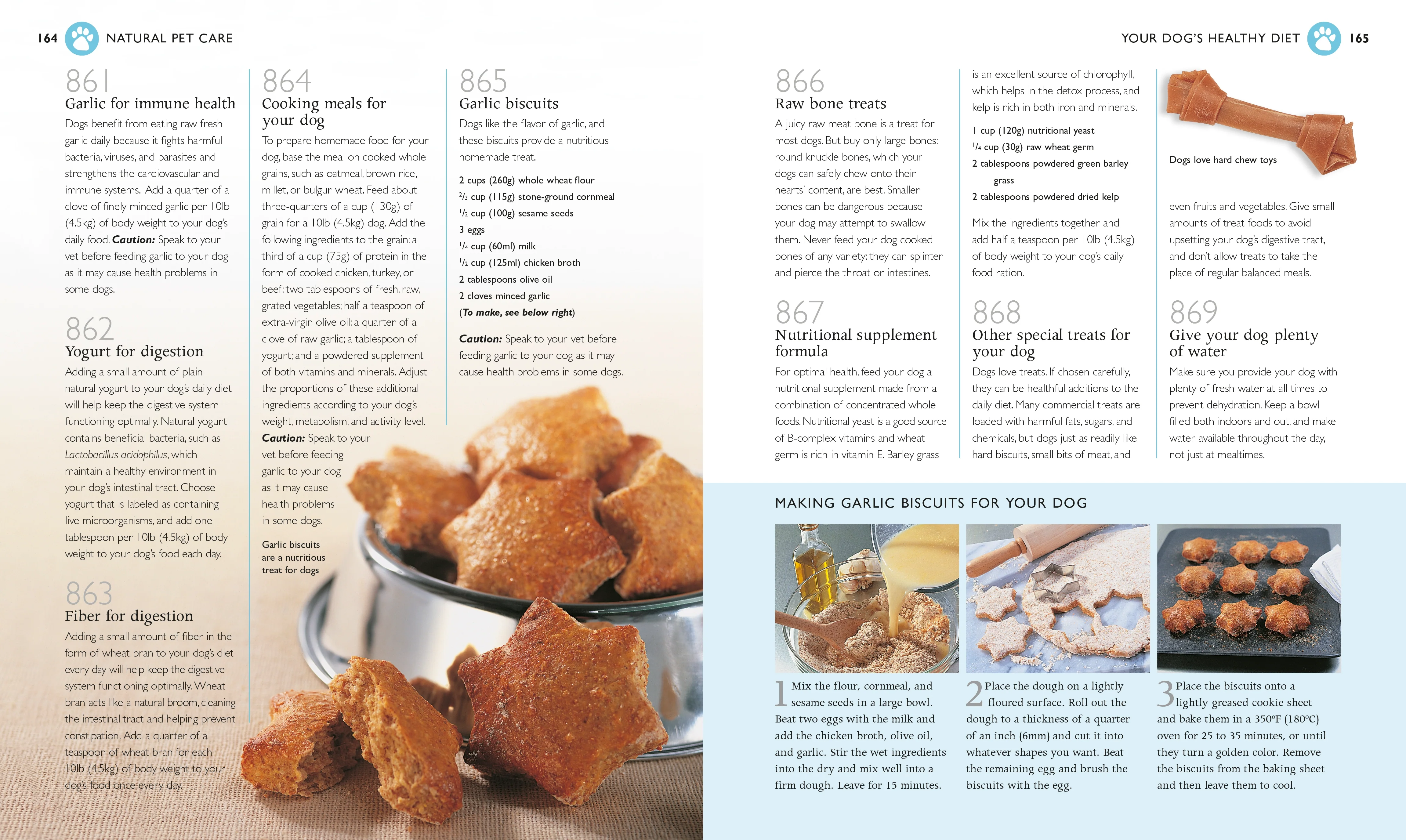 1001 Natural Remedies - Image 5