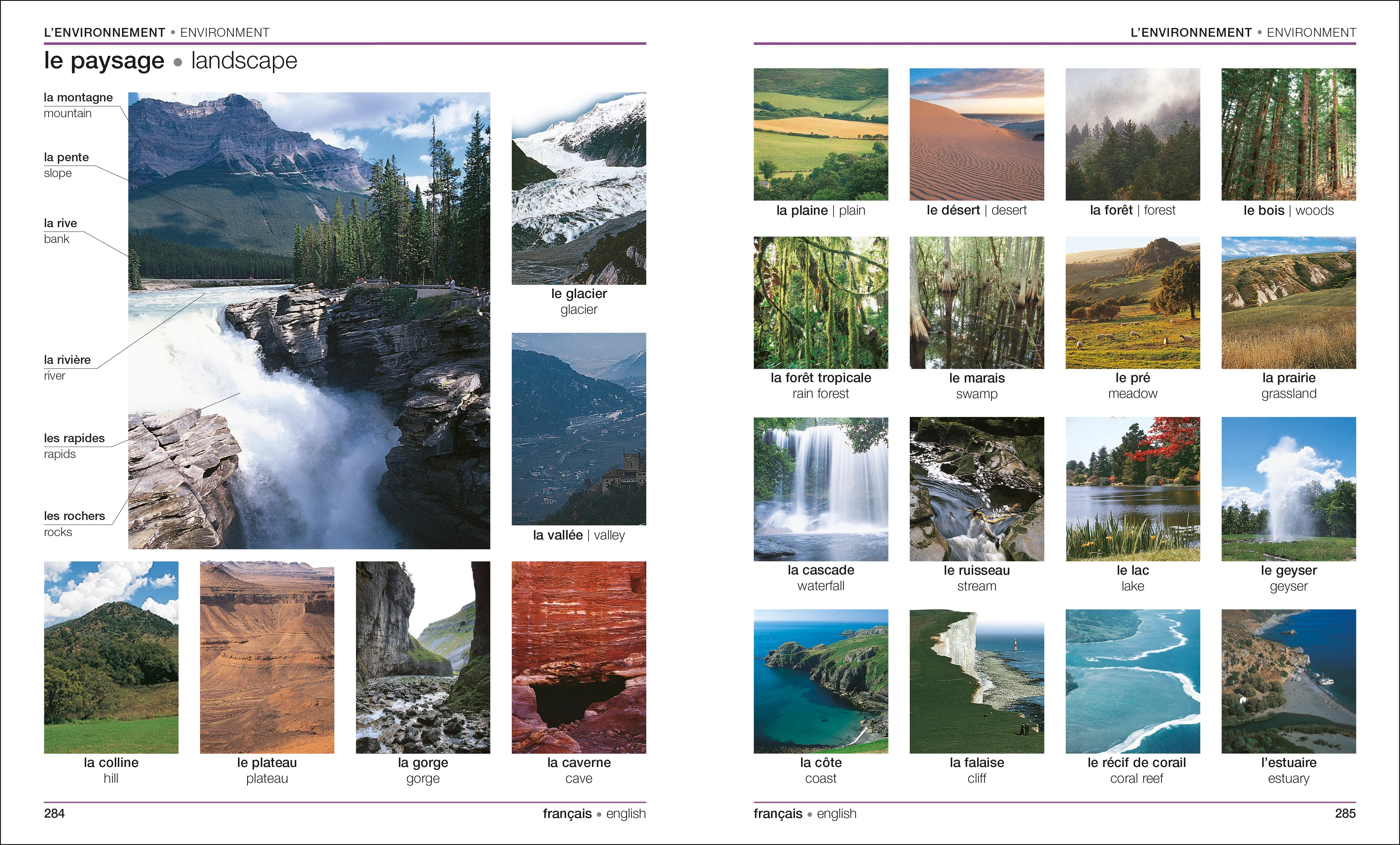 French-English Bilingual Visual Dictionary - Image 6