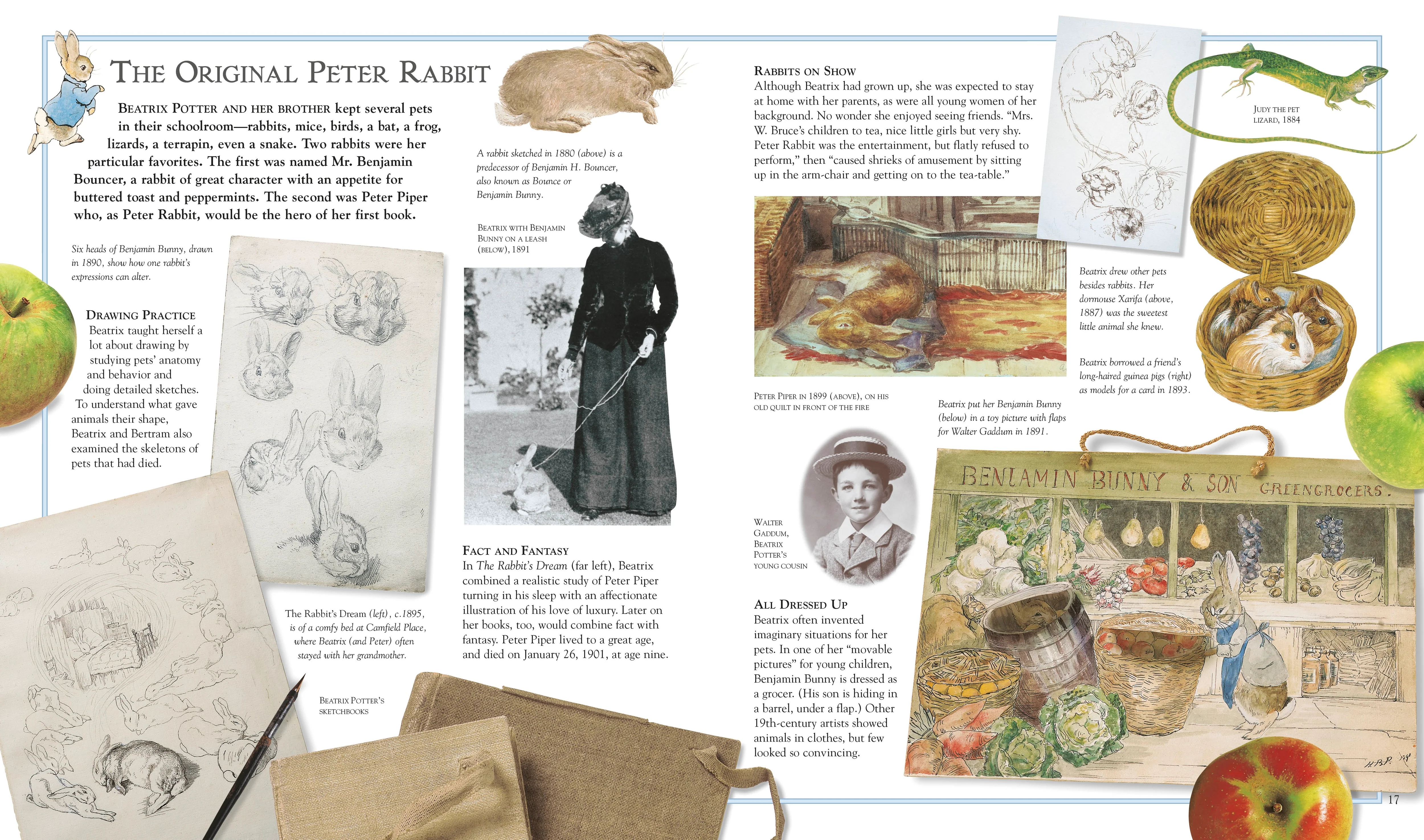 The Ultimate Peter Rabbit - Image 2