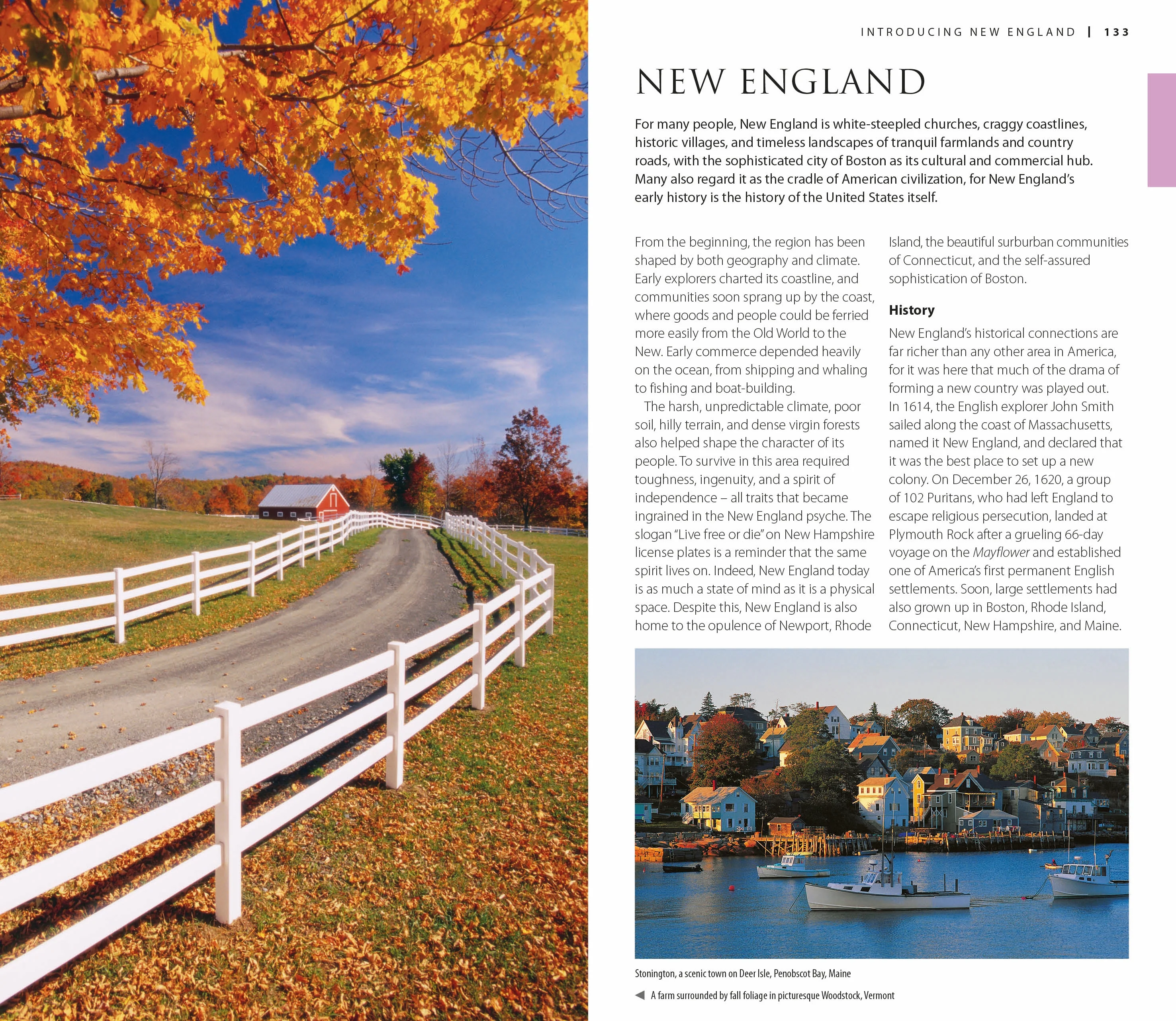 DK USA - Image 3
