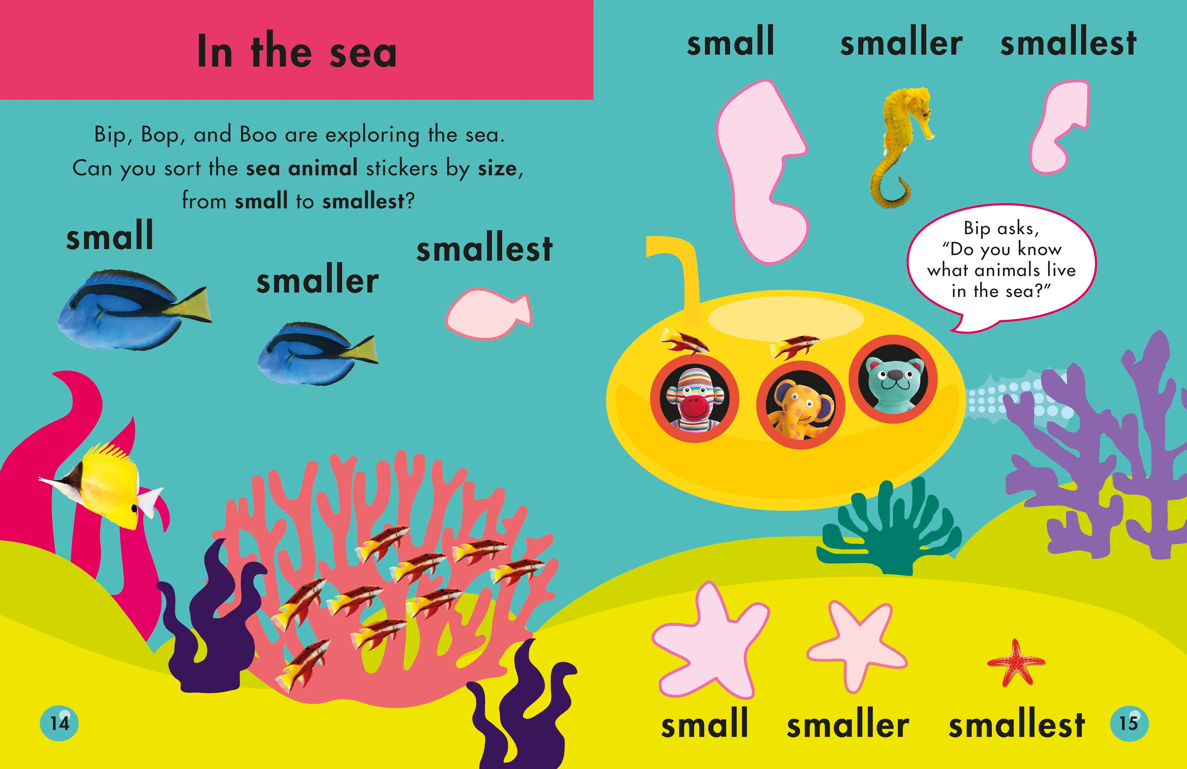 Shapes and Sizes - Image 4
