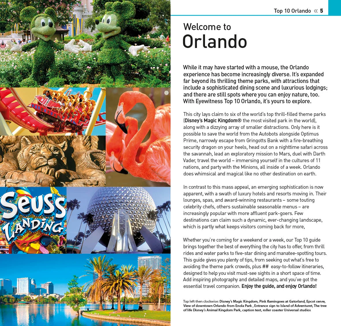 DK Top 10 Orlando - Image 2