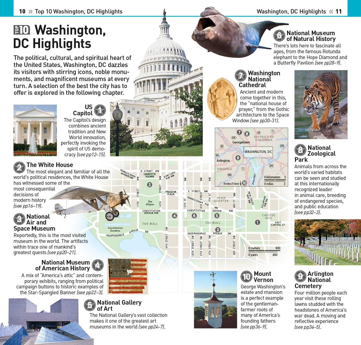 DK Top 10 Washington, DC - Image 4