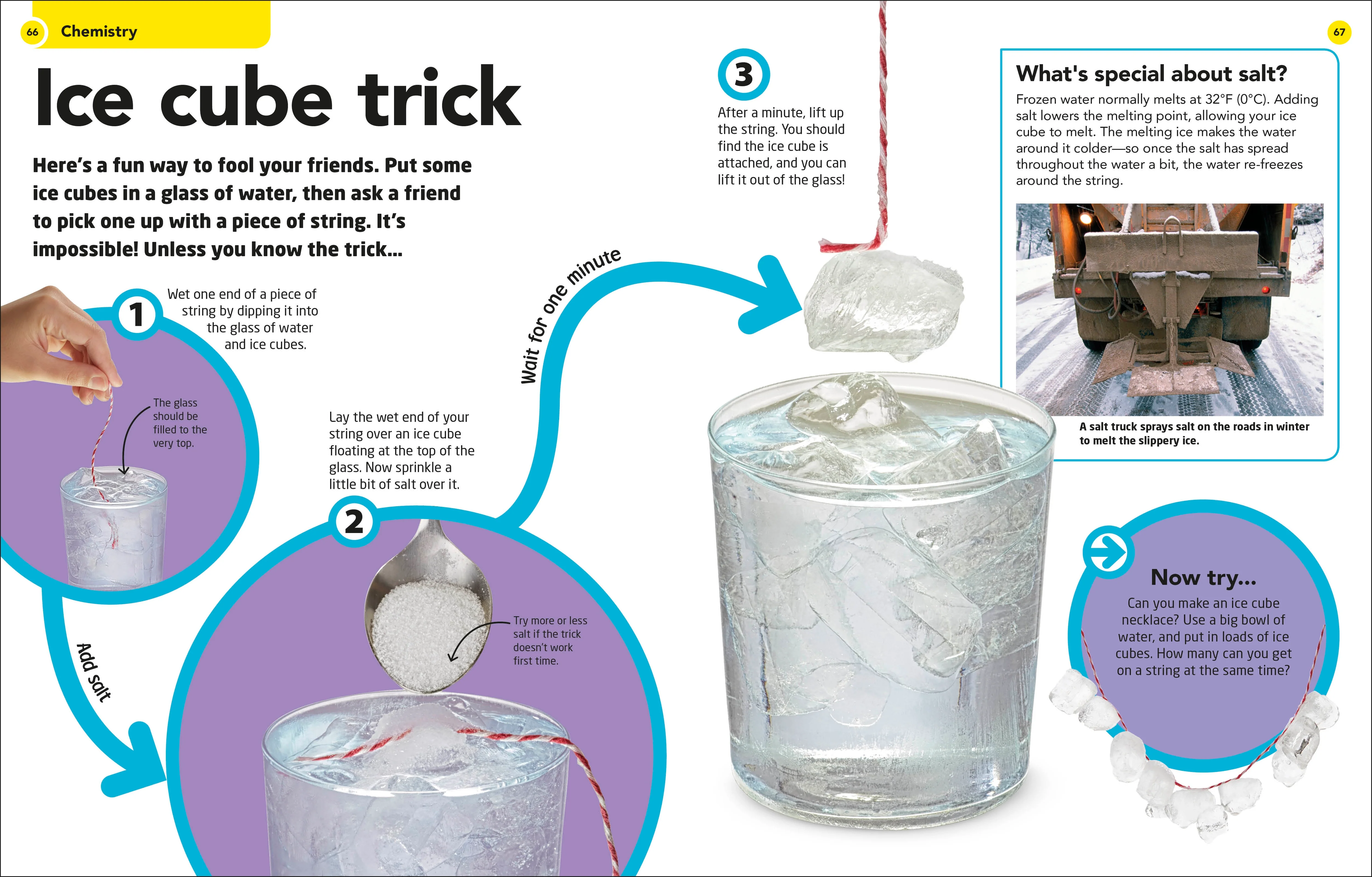 How to Be a Scientist - Image 3