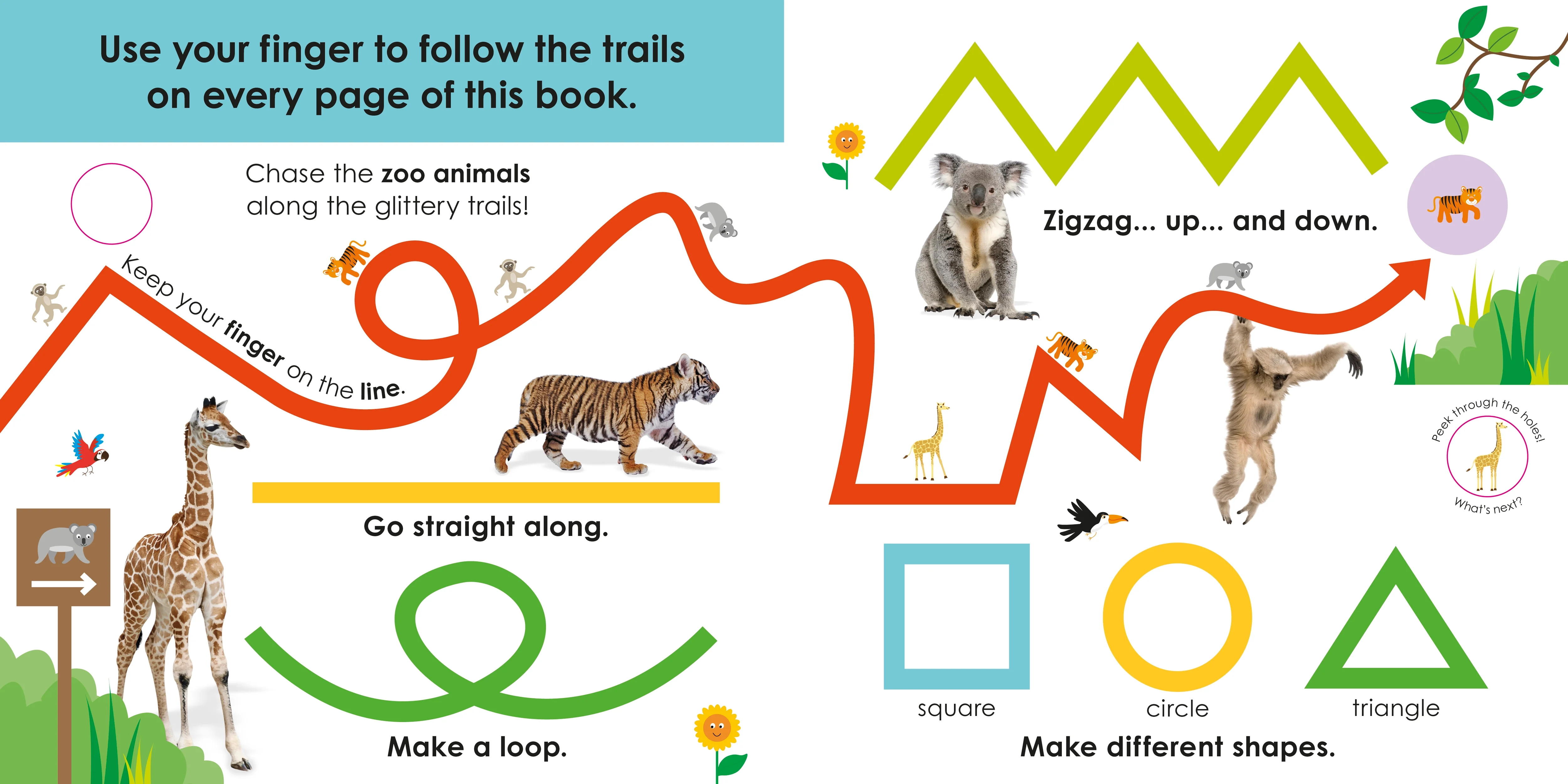 Follow the Trail At the Zoo - Image 2