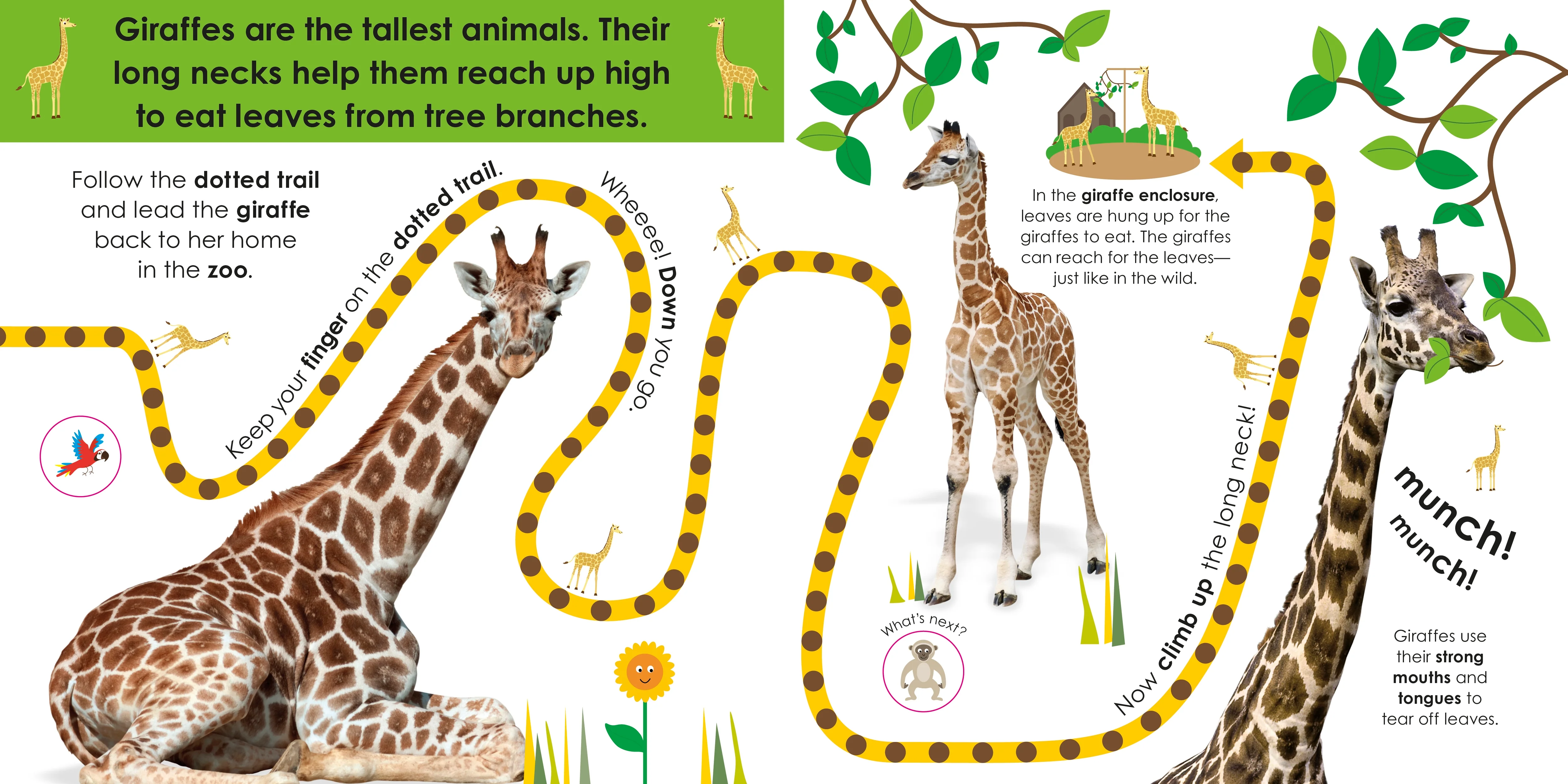 Follow the Trail At the Zoo - Image 3