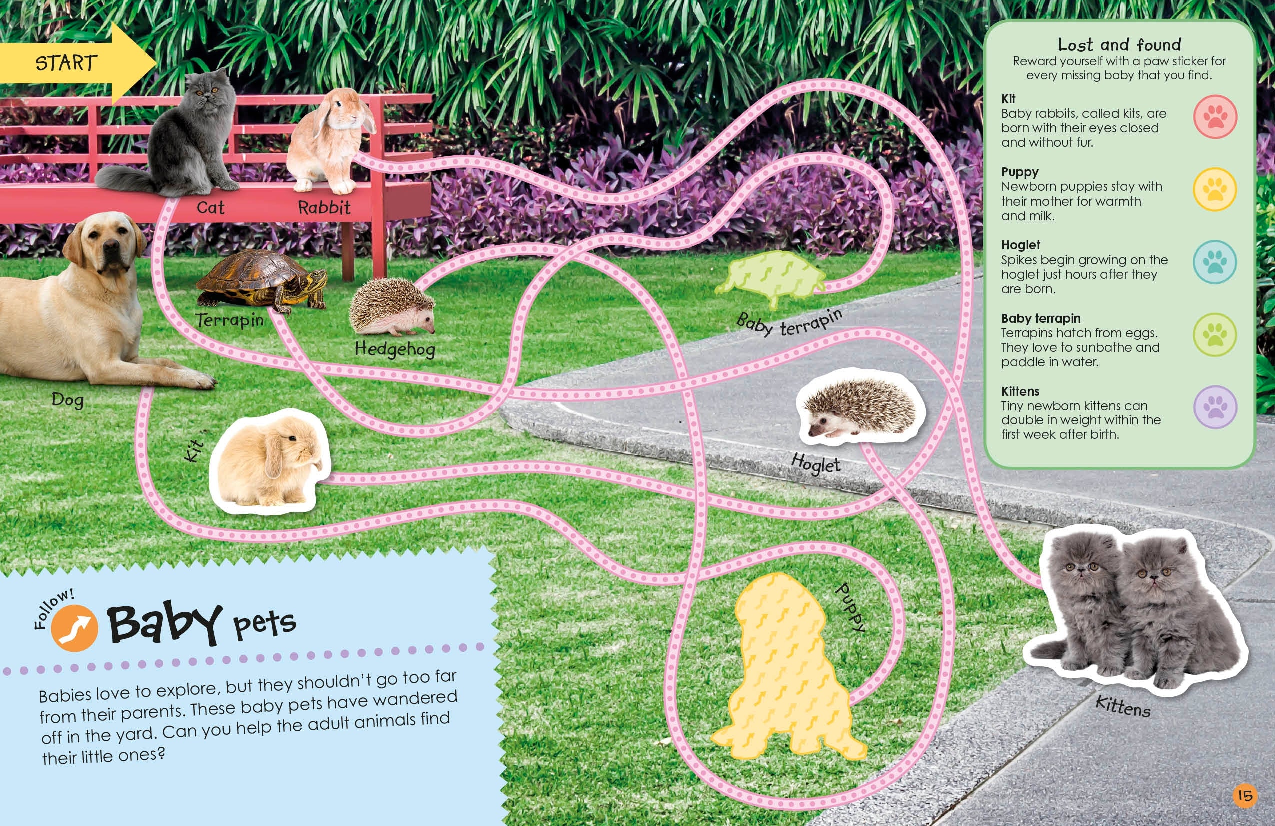 Ultimate Sticker Book: Pets - Image 3