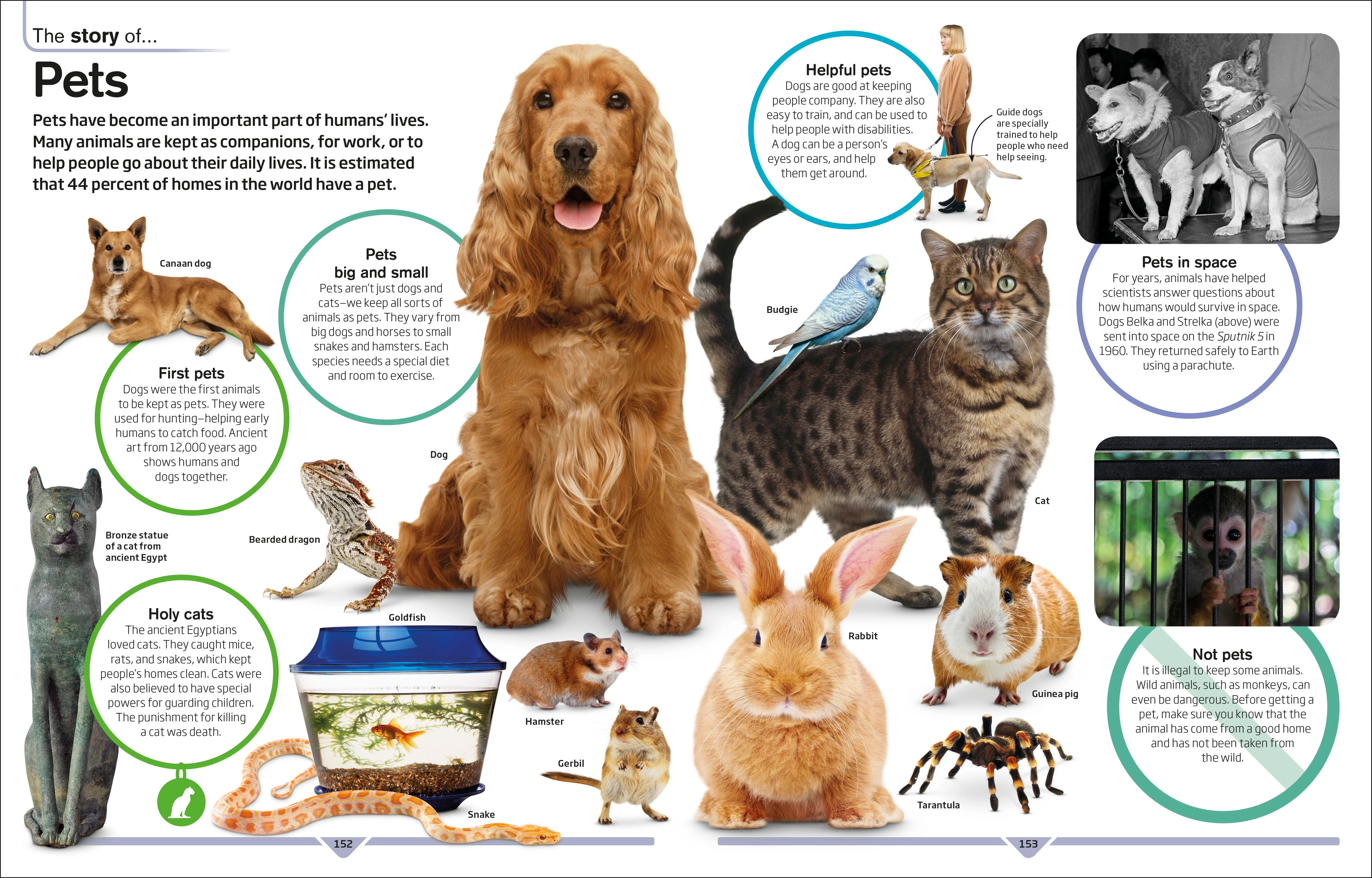 DK Children's Encyclopedia - Image 3