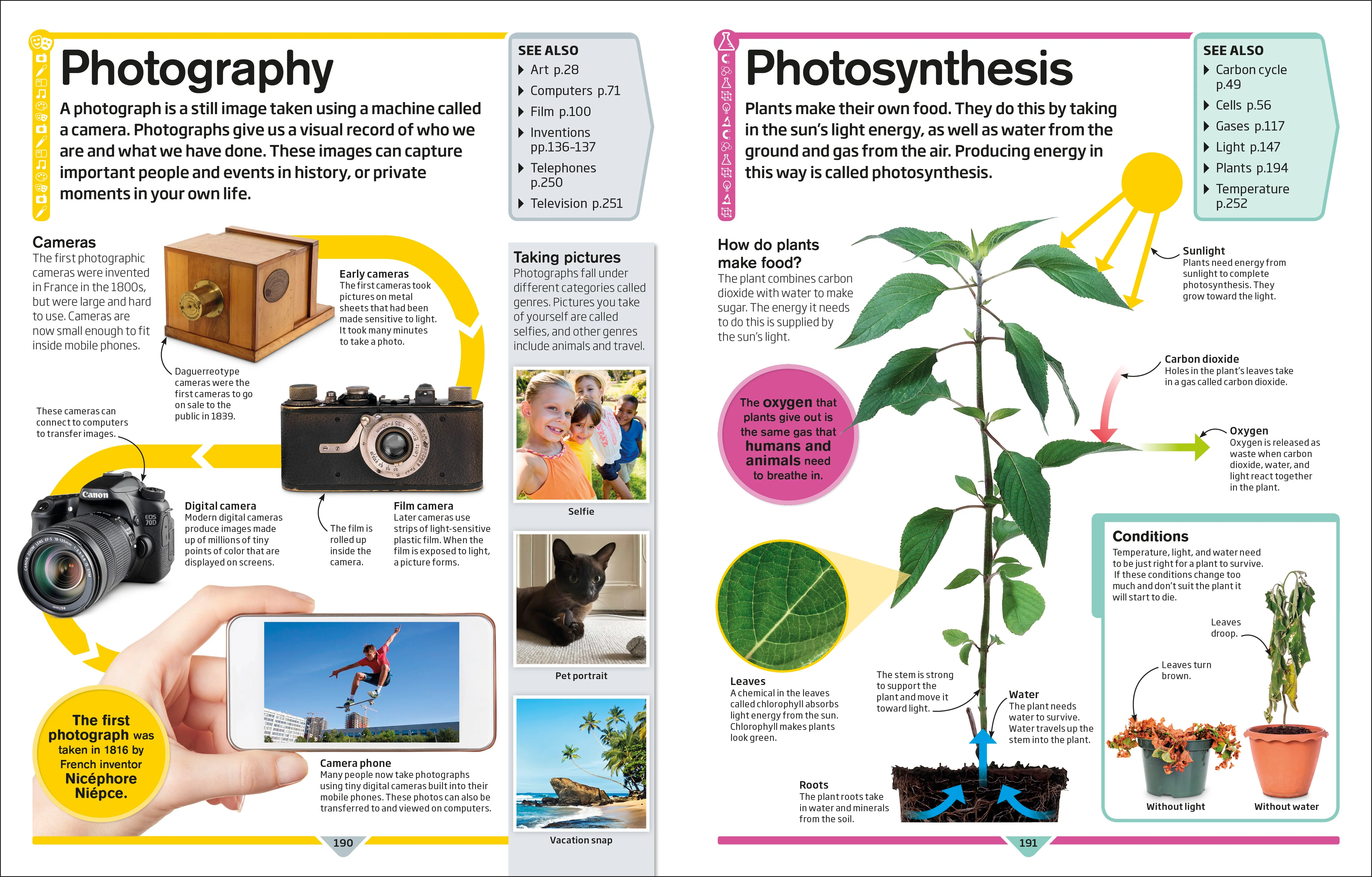 DK Children's Encyclopedia - Image 4