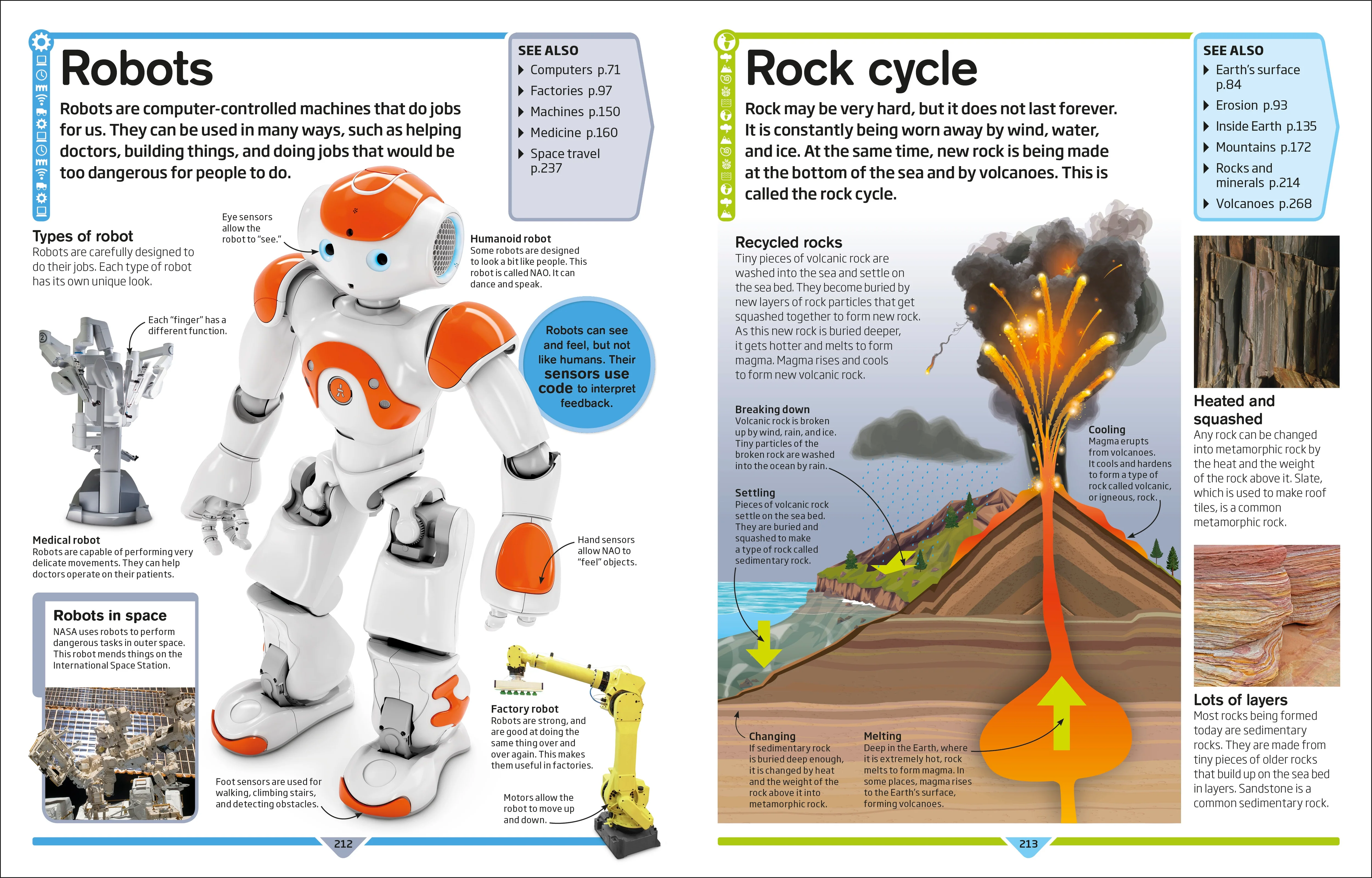 DK Children's Encyclopedia - Image 5
