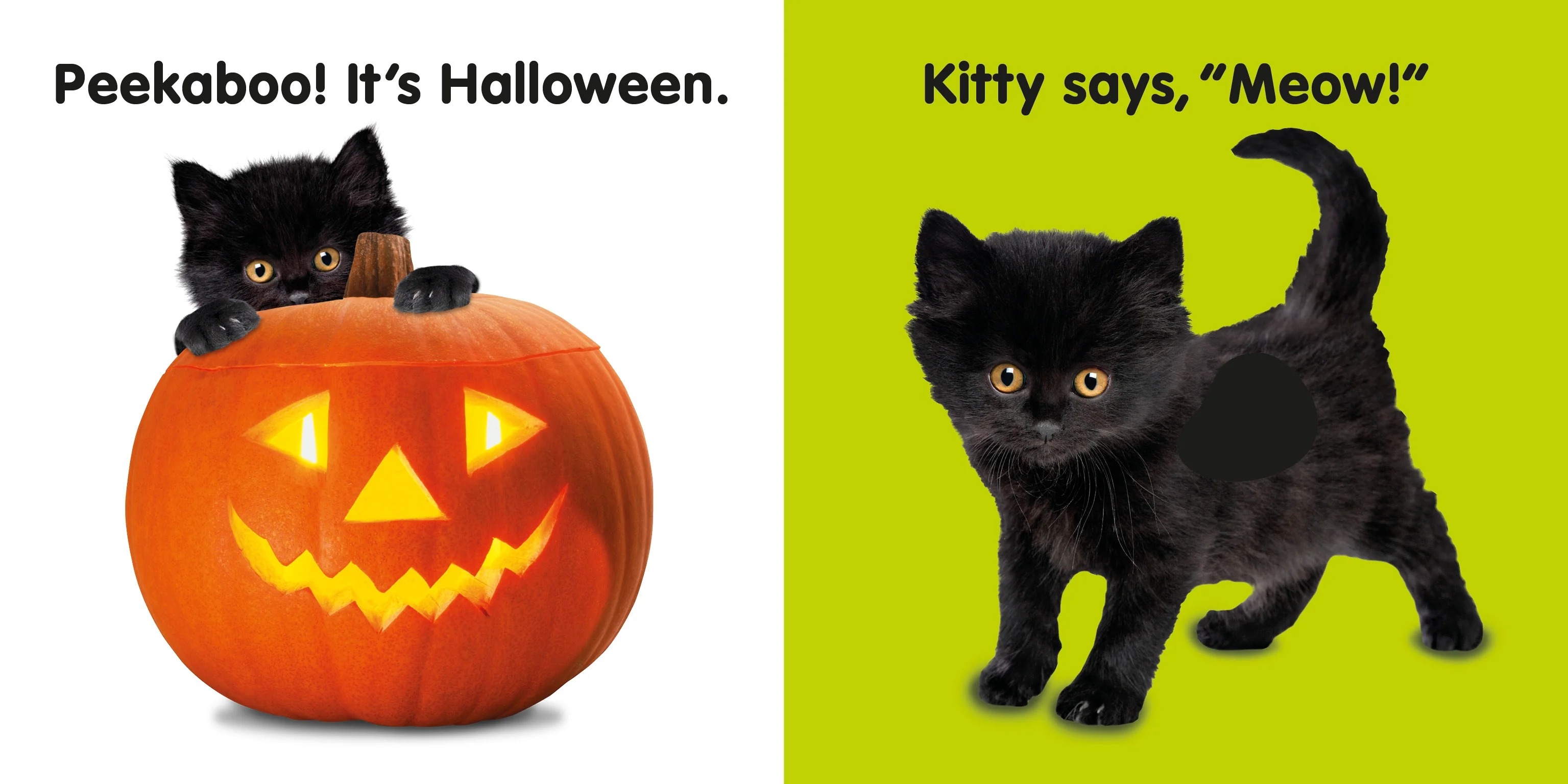 Baby Touch and Feel Halloween - Image 5