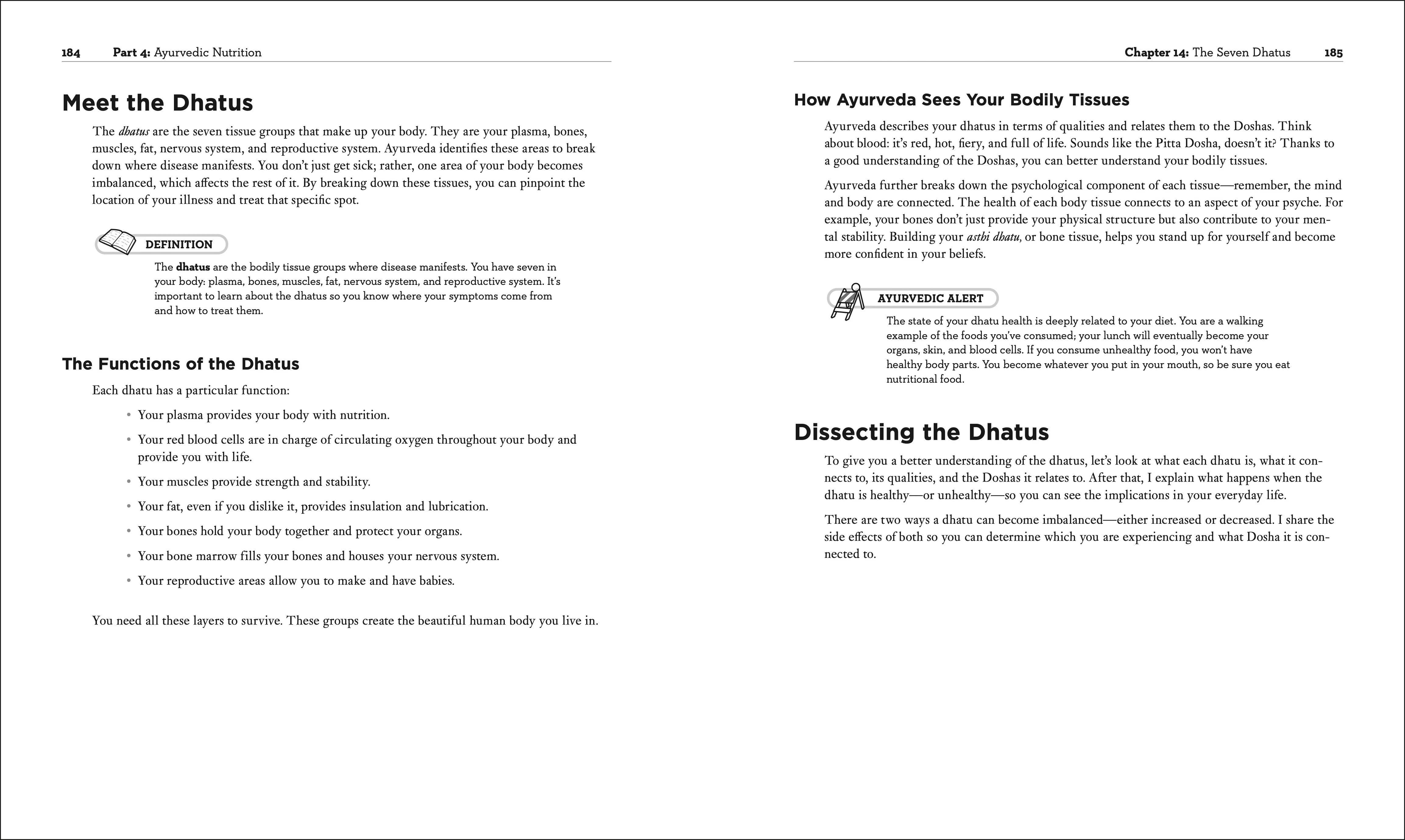 Ayurveda - Image 4