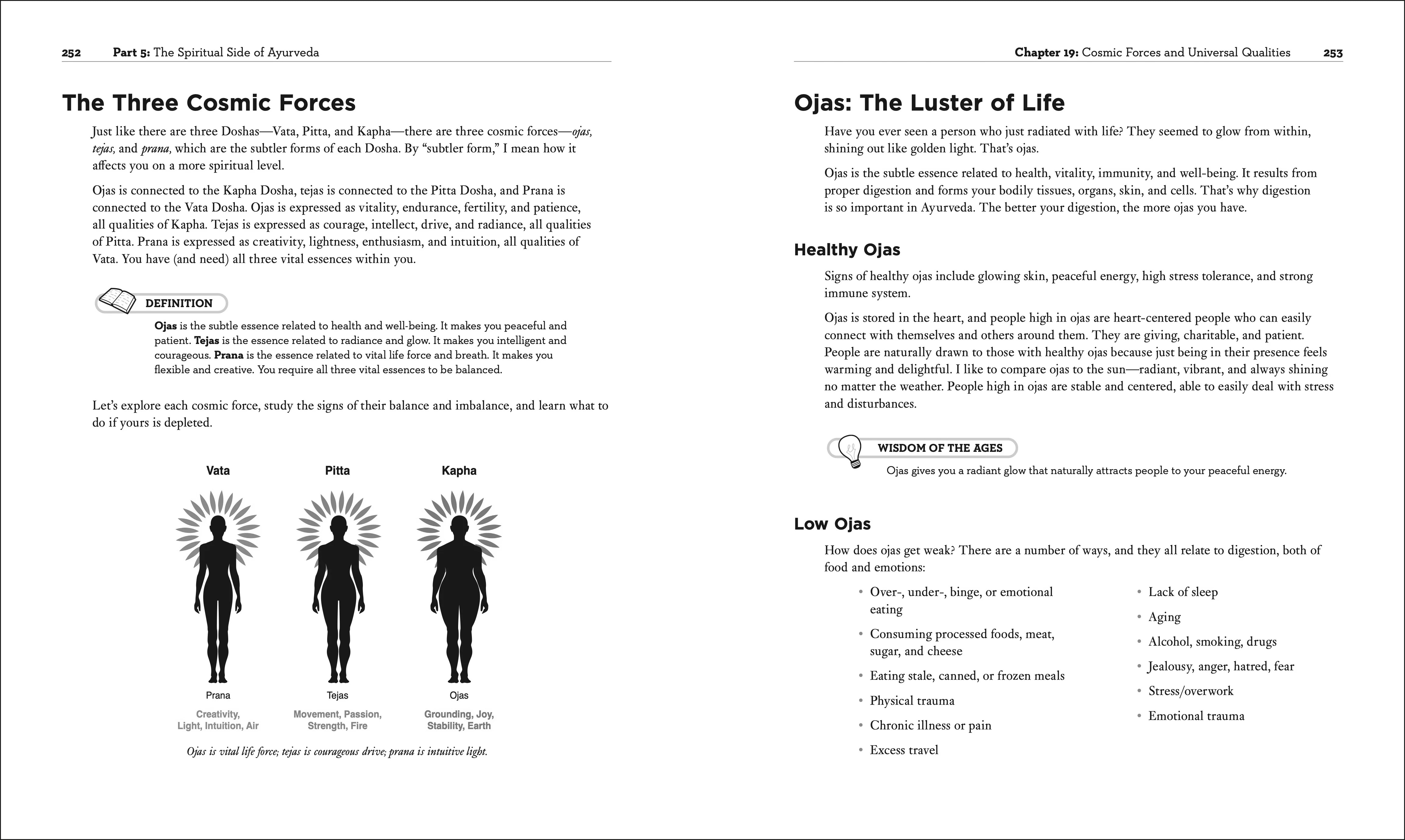 Ayurveda - Image 5