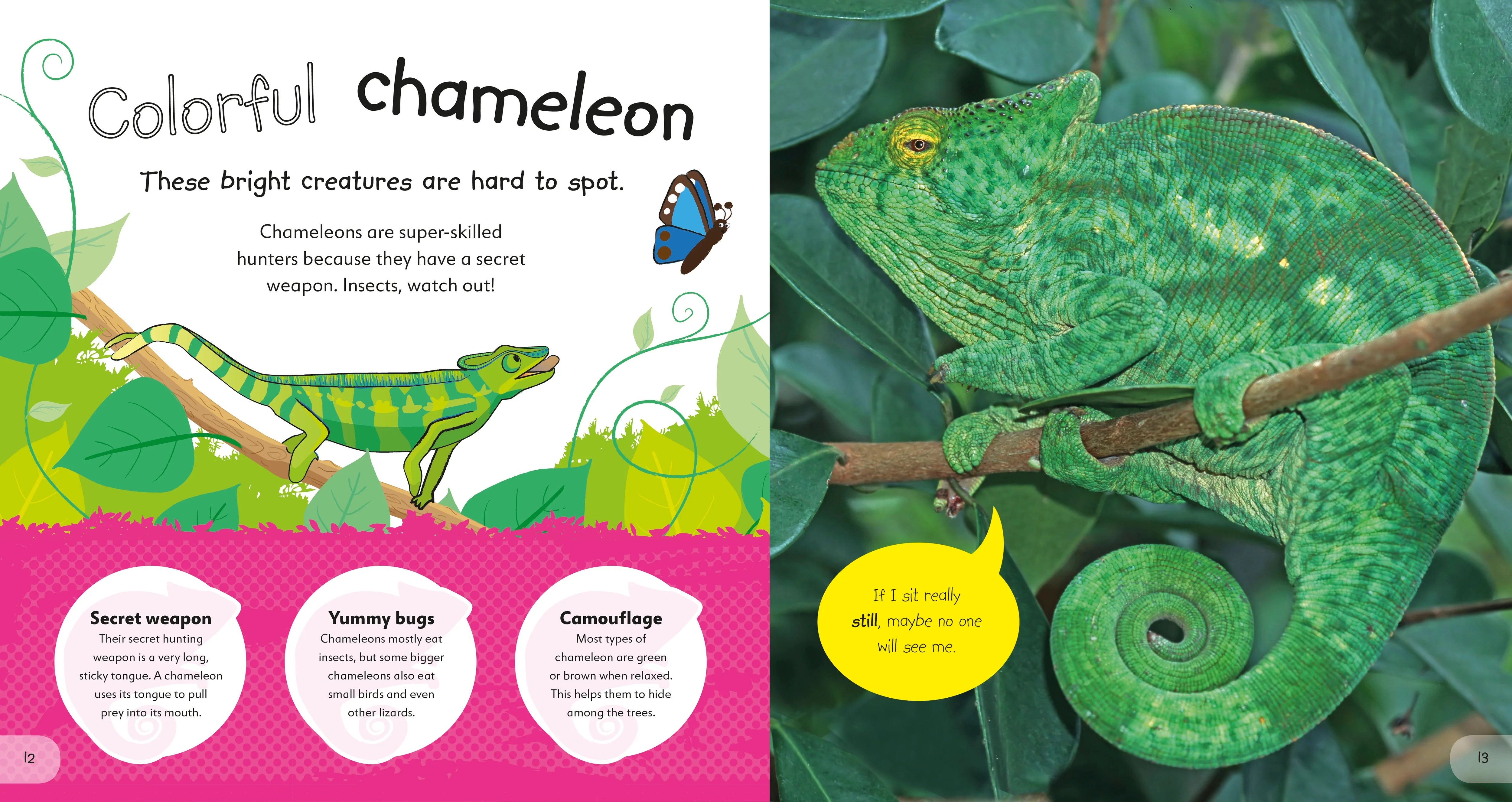 The Incredible Fold-Out Book of Animals - Image 2