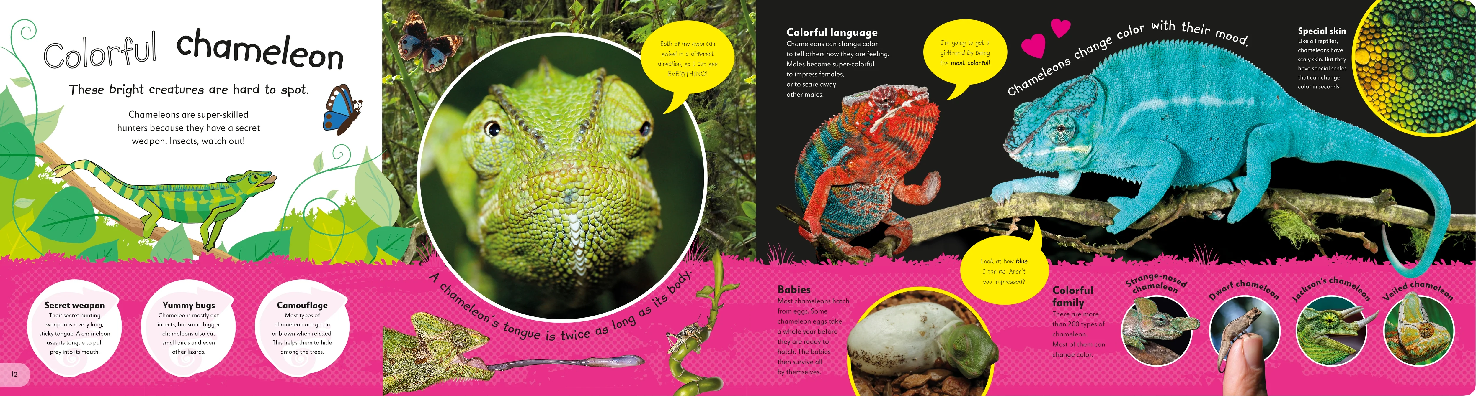 The Incredible Fold-Out Book of Animals - Image 4
