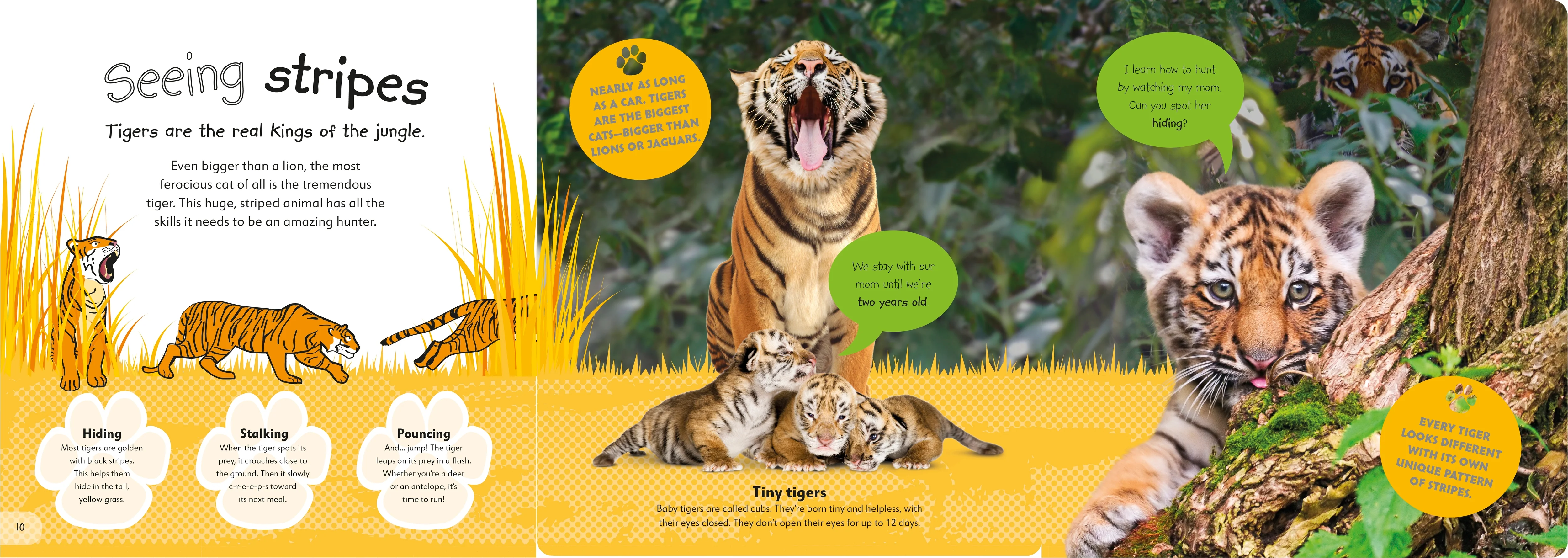 The Incredible Fold-Out Book of Animals - Image 6
