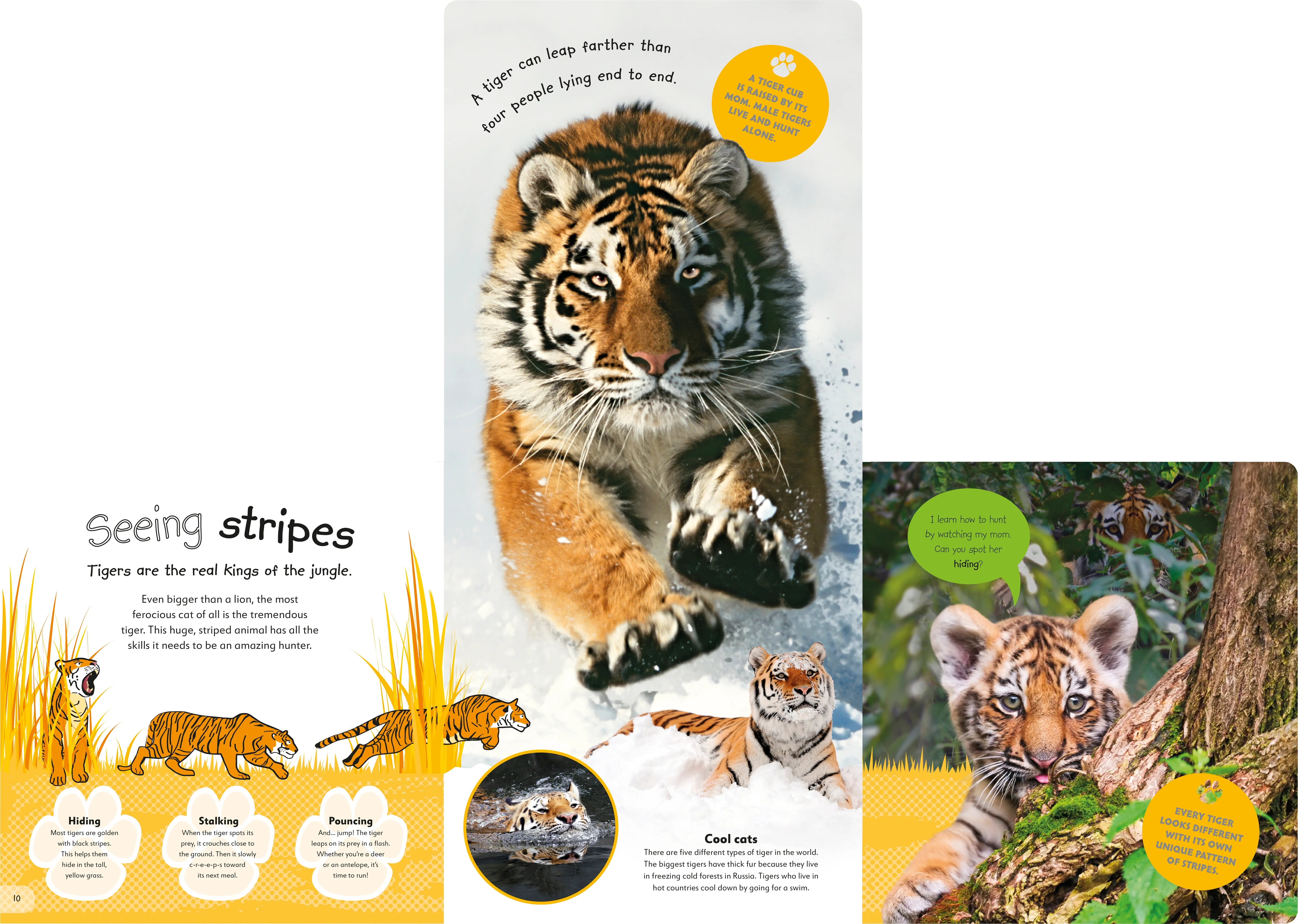 The Incredible Fold-Out Book of Animals - Image 7