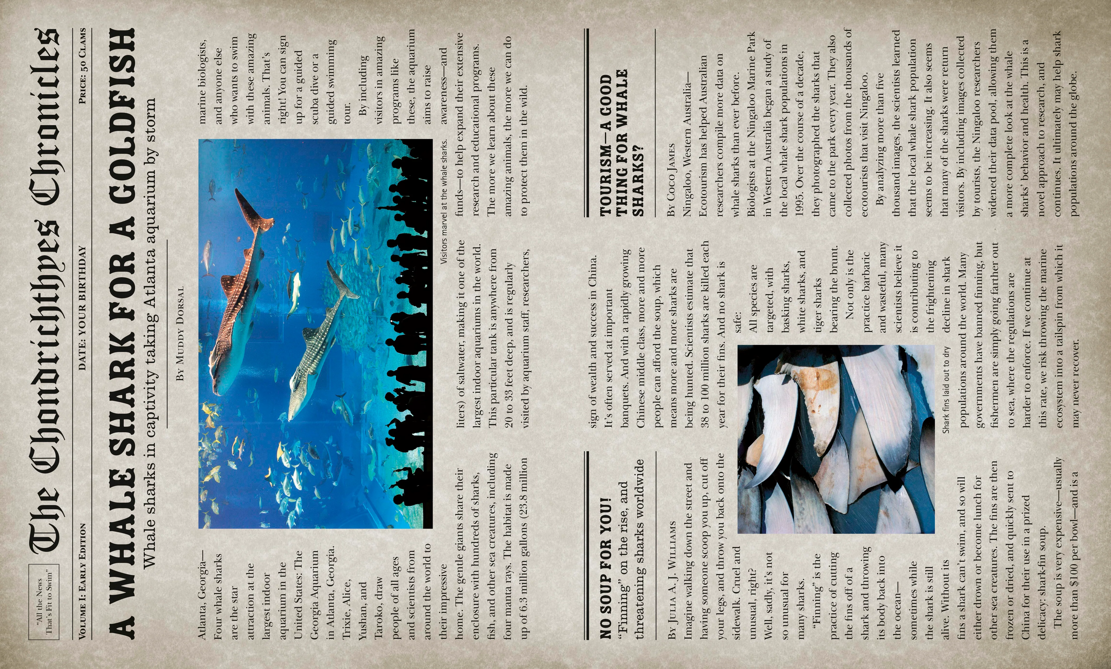Sharkpedia - Image 5